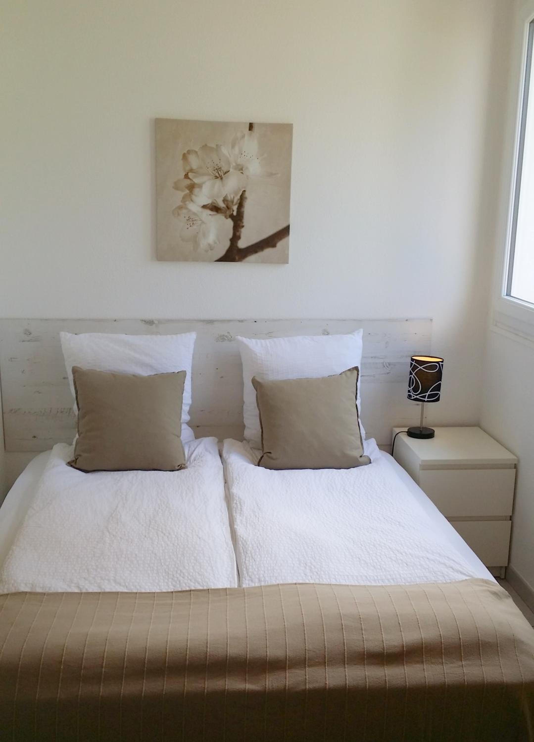 Studio Suite - Photo 9