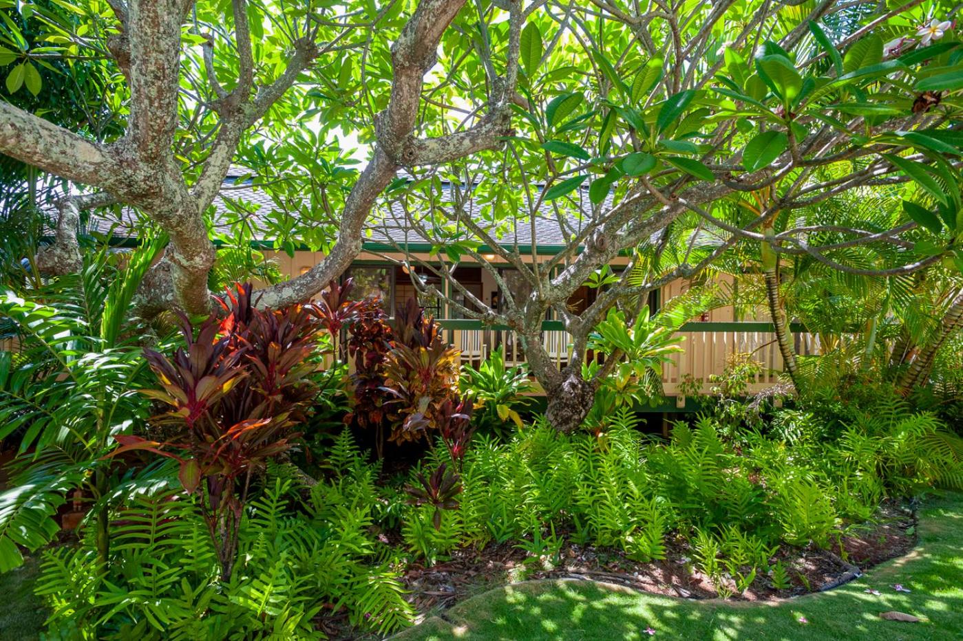 Apartment with Garden View - Photo 17