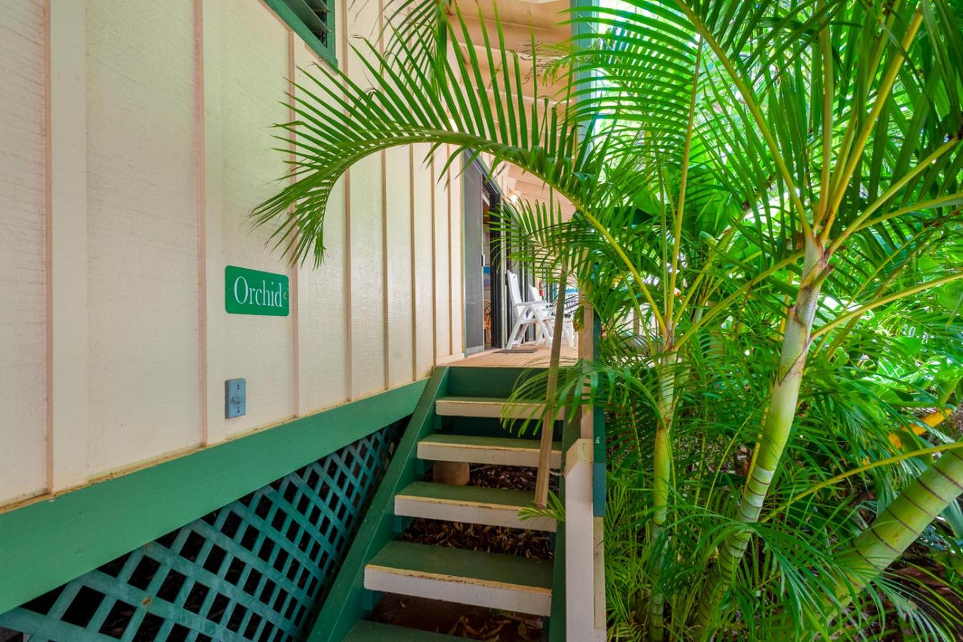 Apartment with Garden View - Photo 16