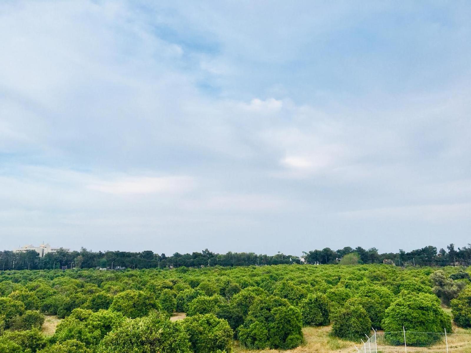 Triple Room with View - Photo 6