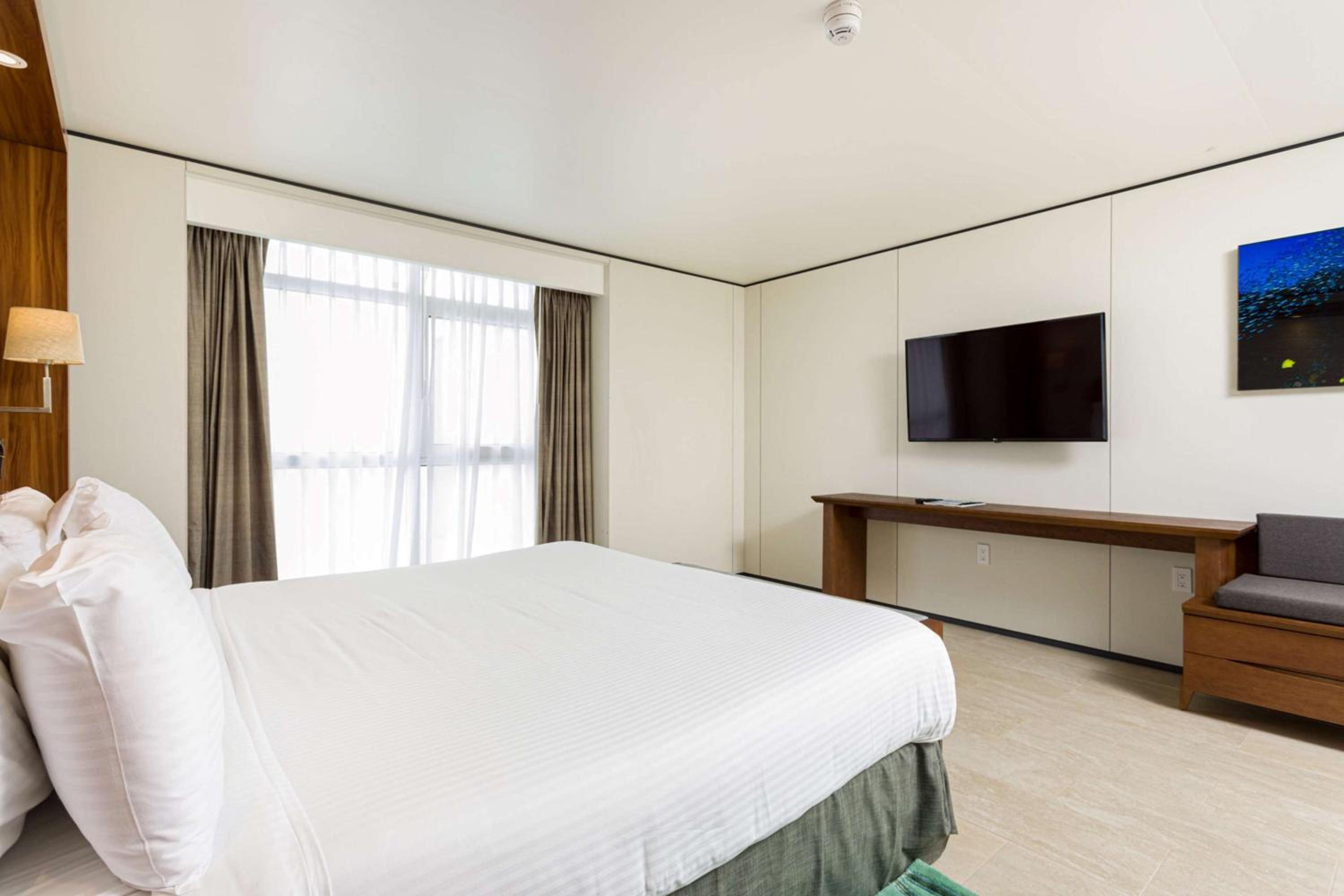 1 Bedroom Ocean View Suite - Photo 2