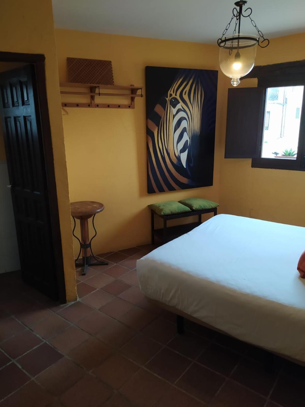 Twin Room photo 3