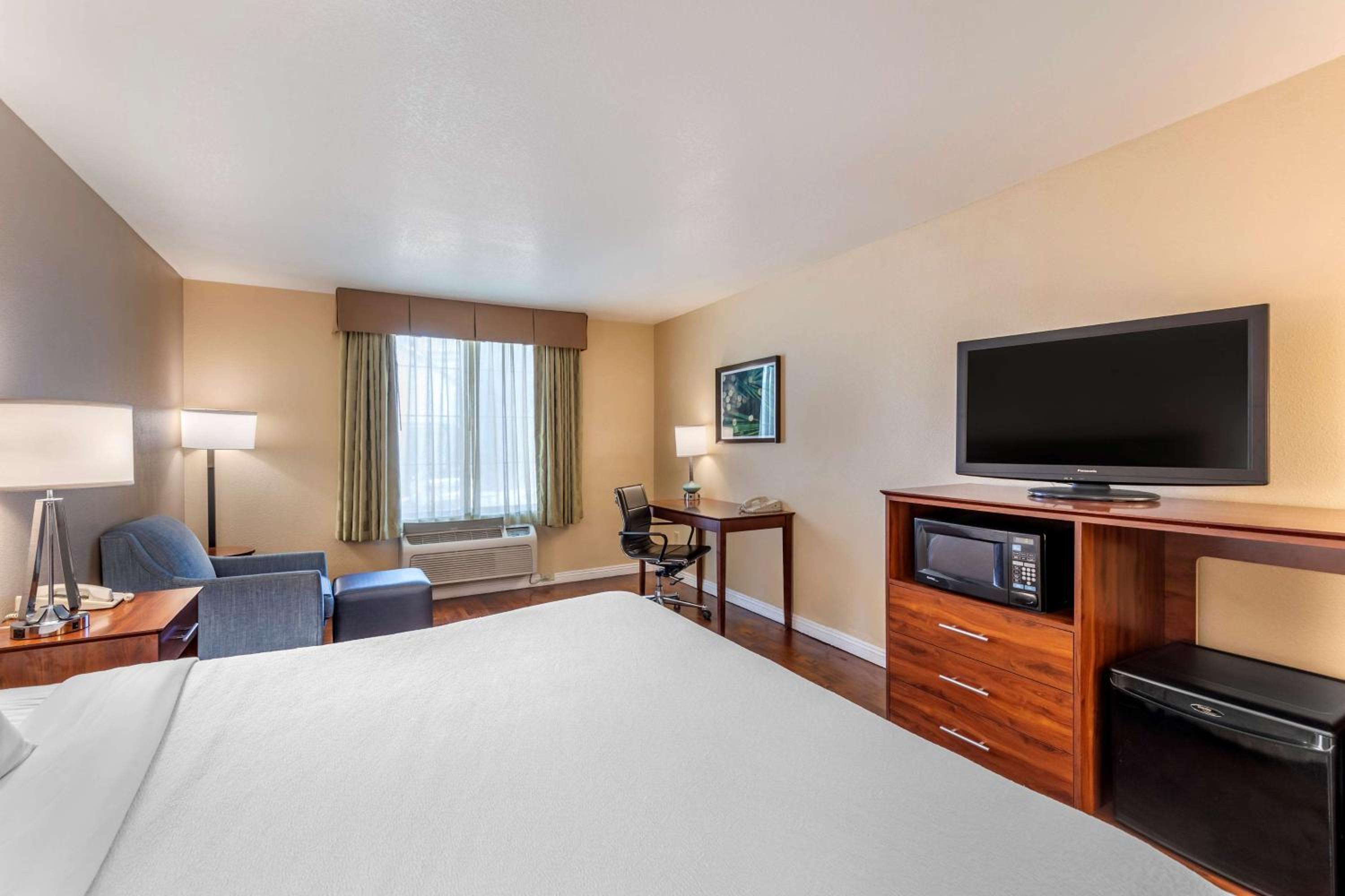 King Room - Non-Smoking - Photo 5
