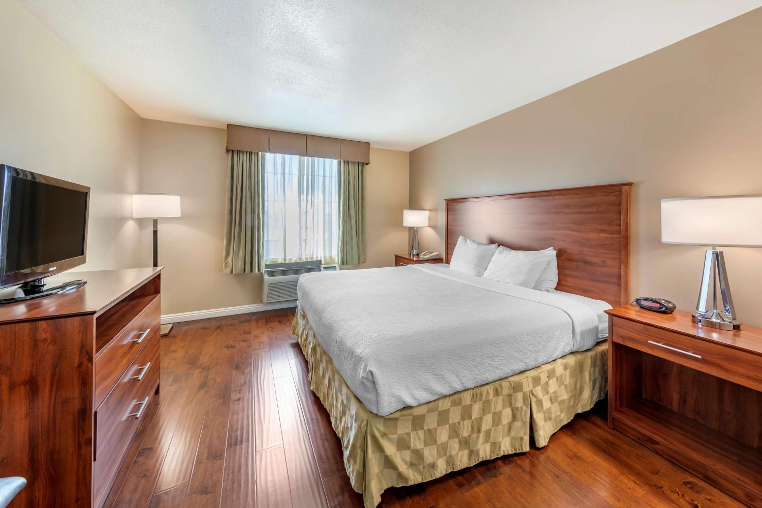 One-Bedroom King Suite - Photo 3