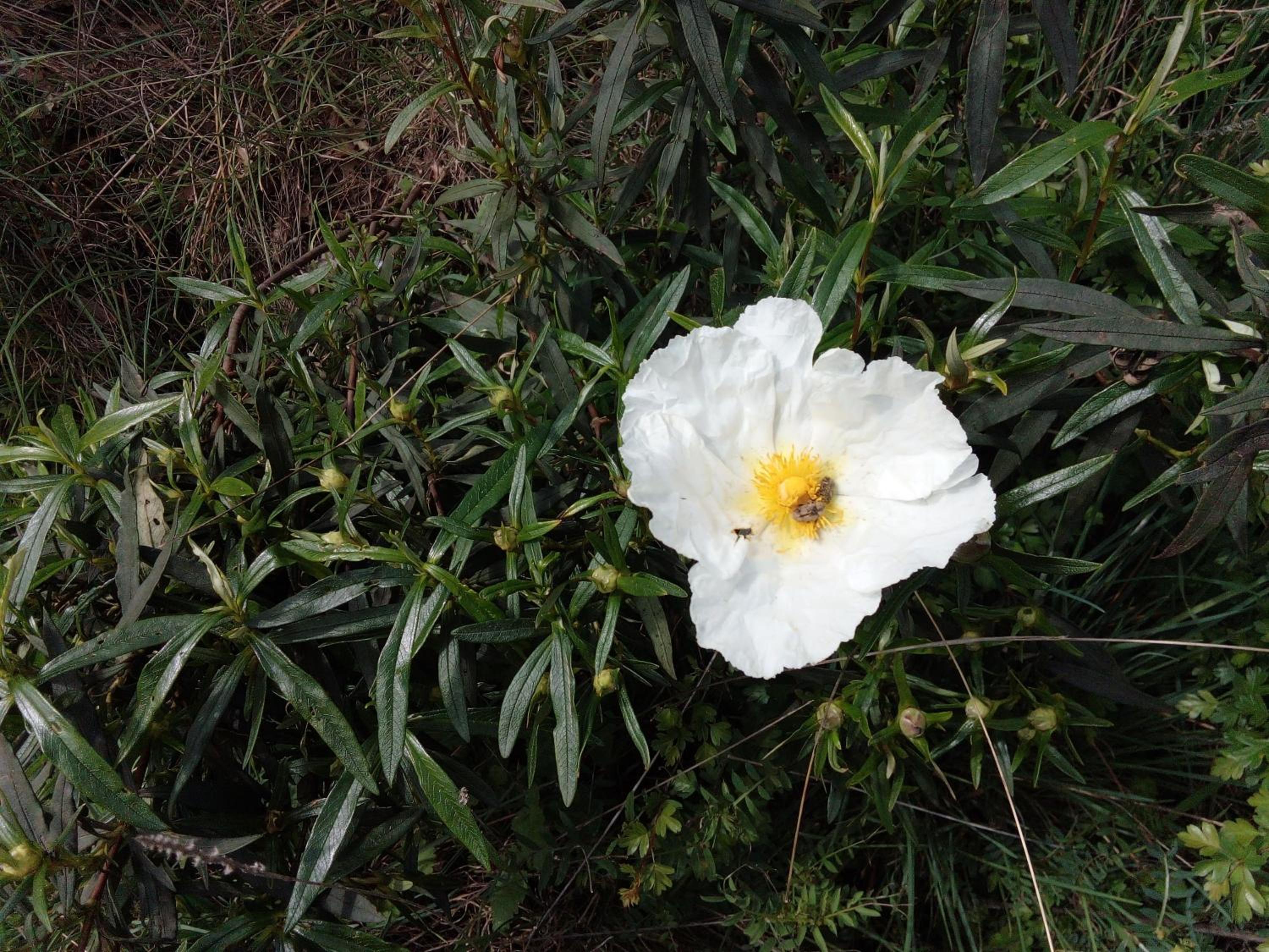 Holiday Home - Photo 8