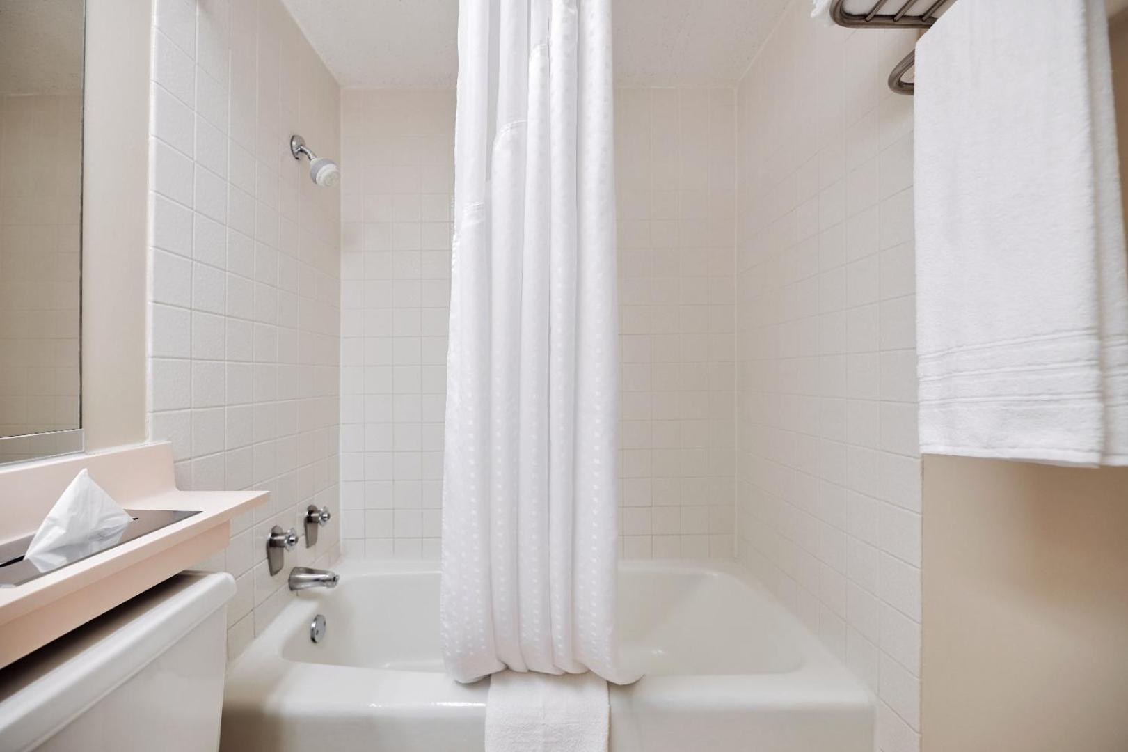 1 King Bed, Accessible - Photo 5
