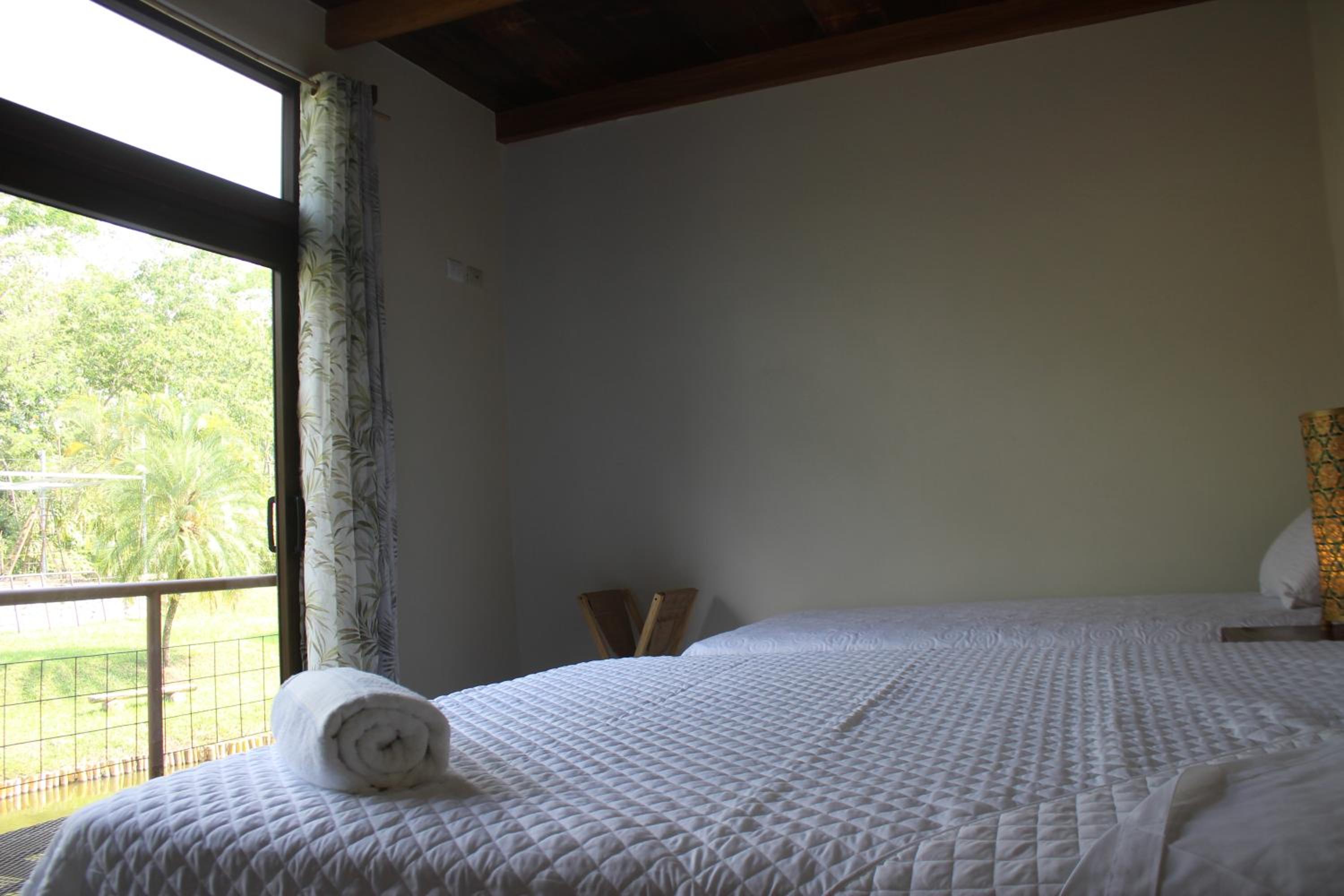 Twin Room photo 3