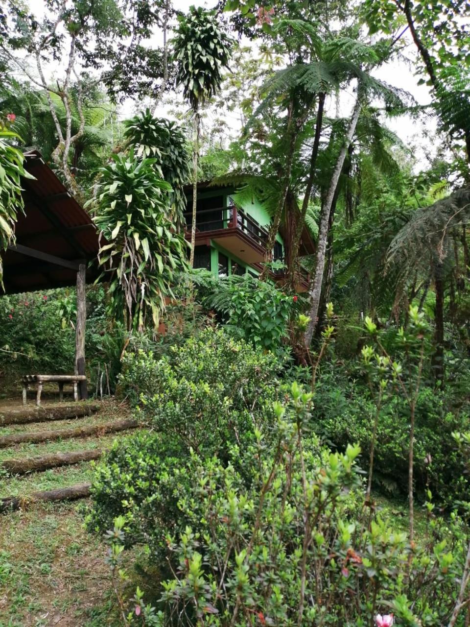 Two-Bedroom Chalet - Photo 2