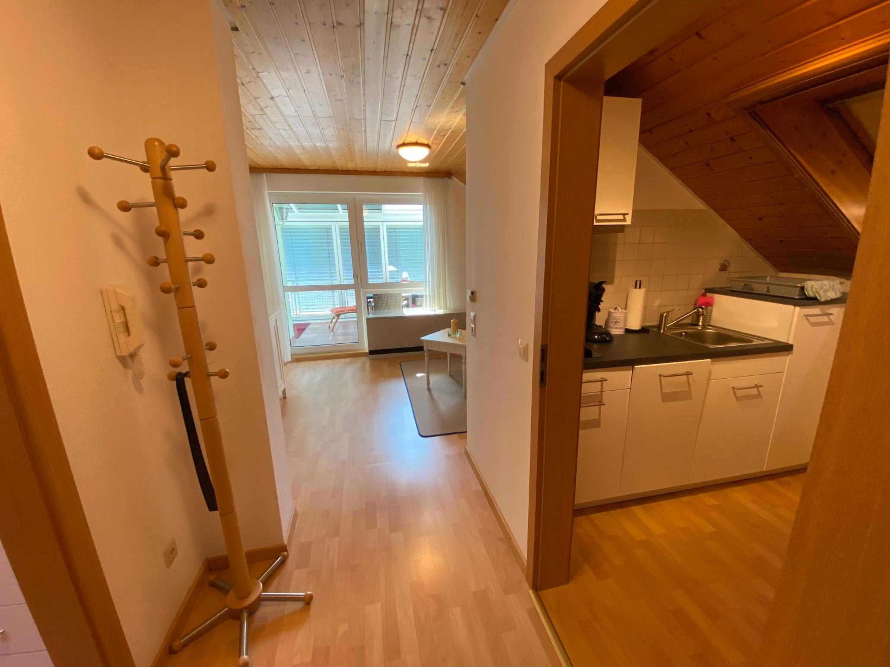 Superior One-Bedroom Apartment with Balcony photo 3
