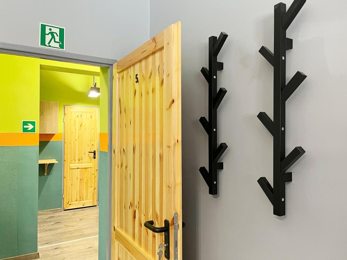 Bunk Bed in Mixed Dormitory Room photo 1