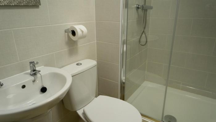 Deluxe King Room - Photo 7