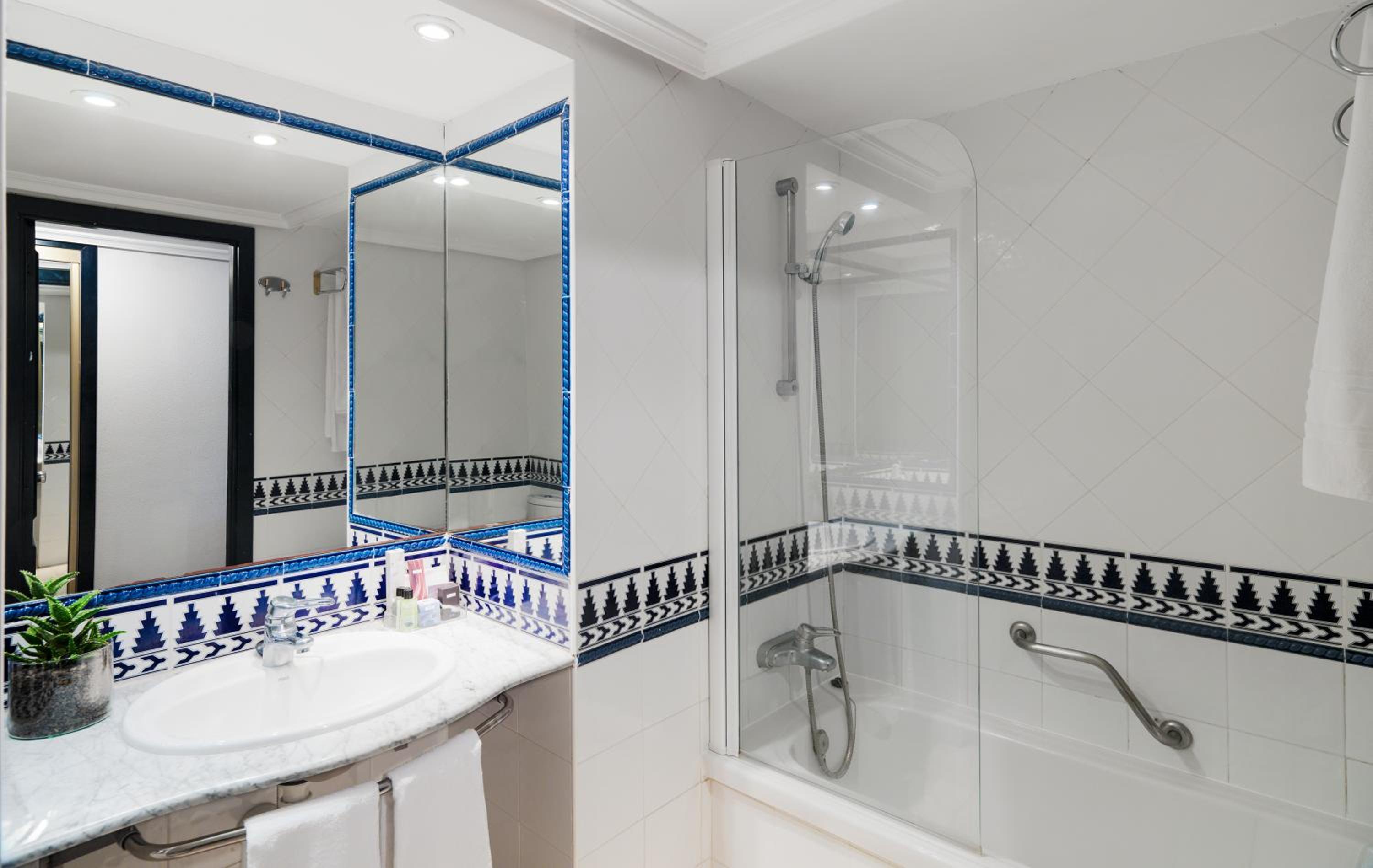Standard Double Room with Sea View