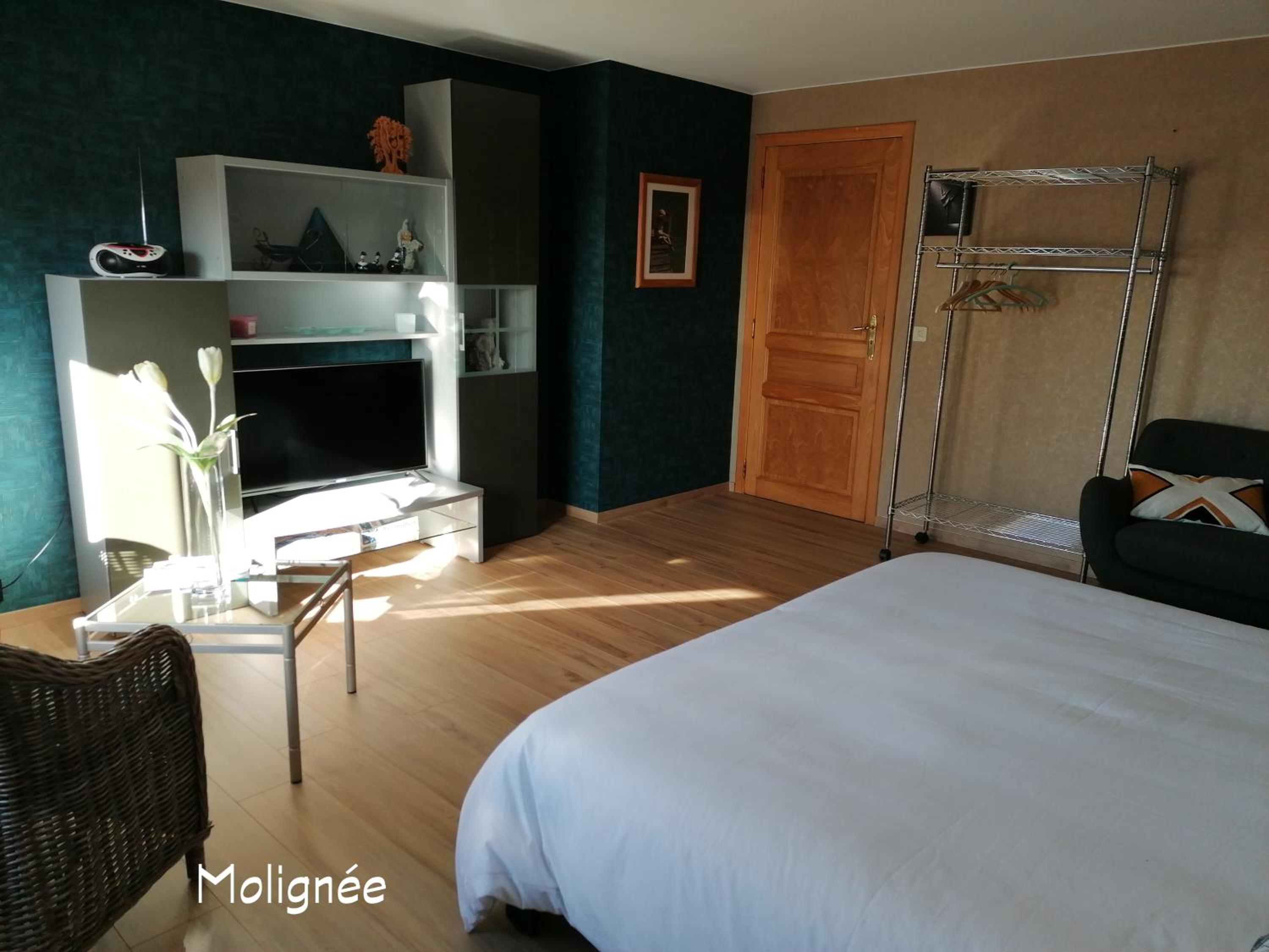 Deluxe Double Room photo 2