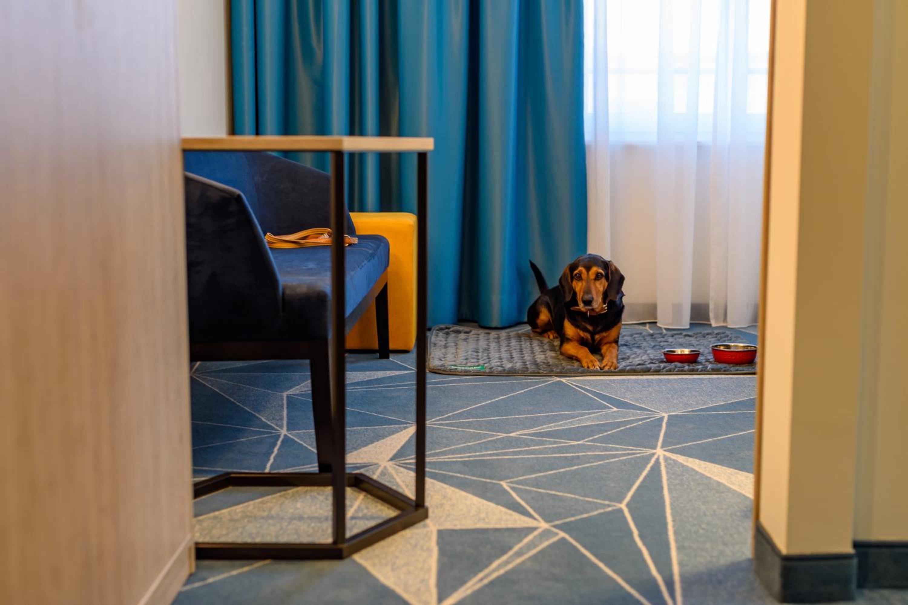 Family Room - Photo 3