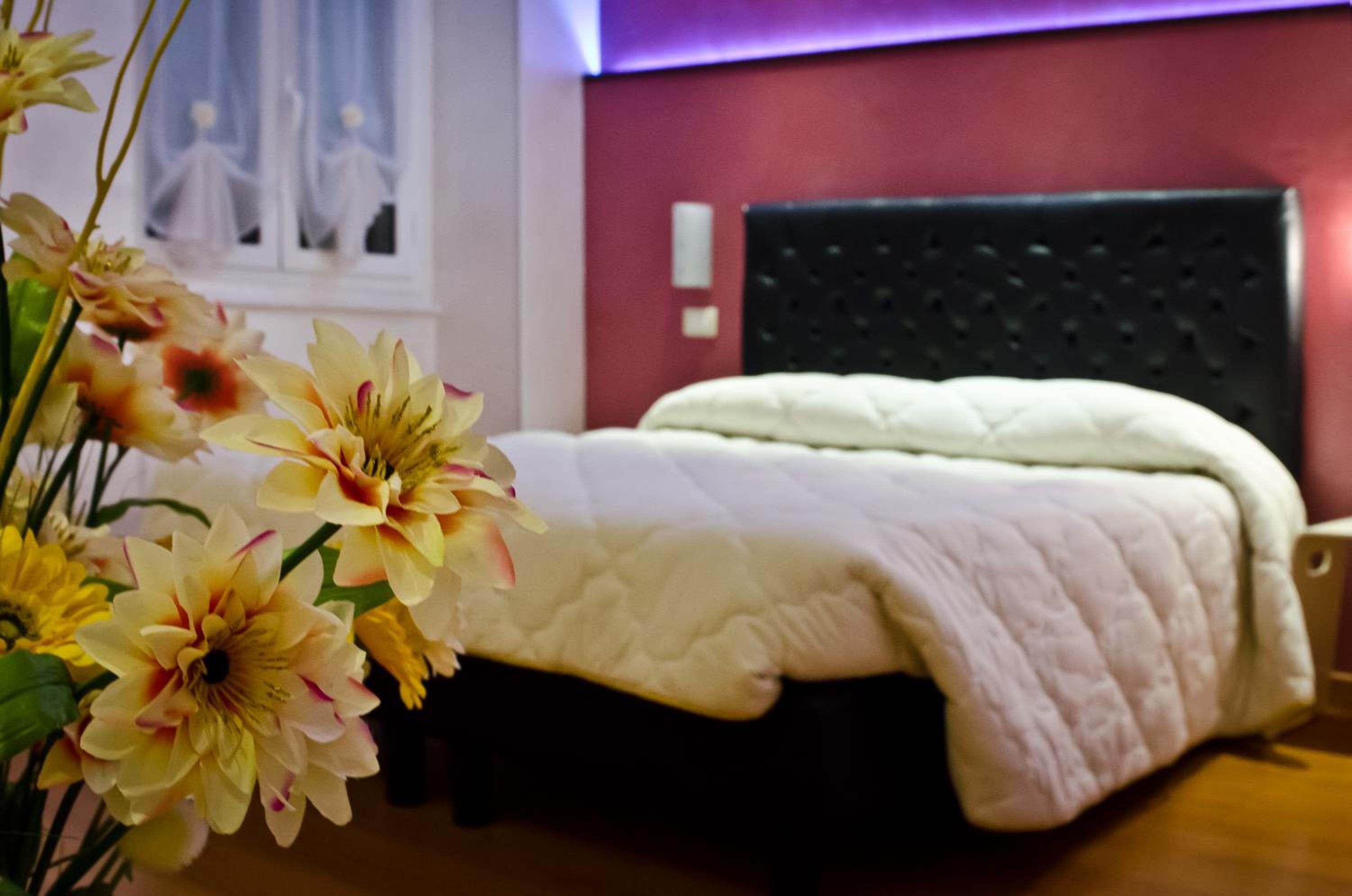 Double or Twin Room - Photo 2