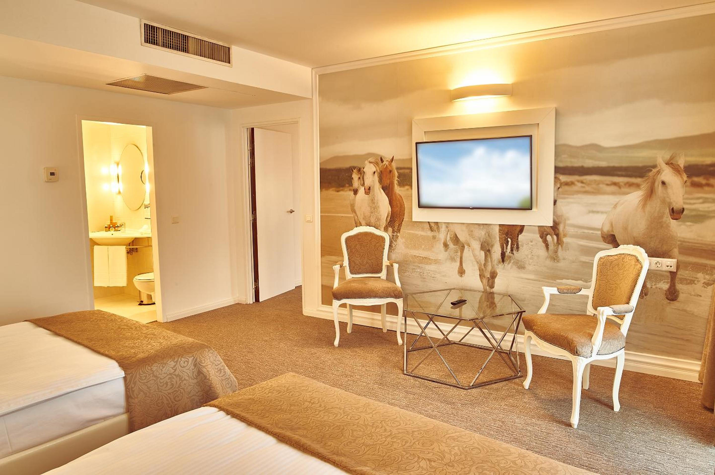 Deluxe Family PLUS Suite - Photo 5