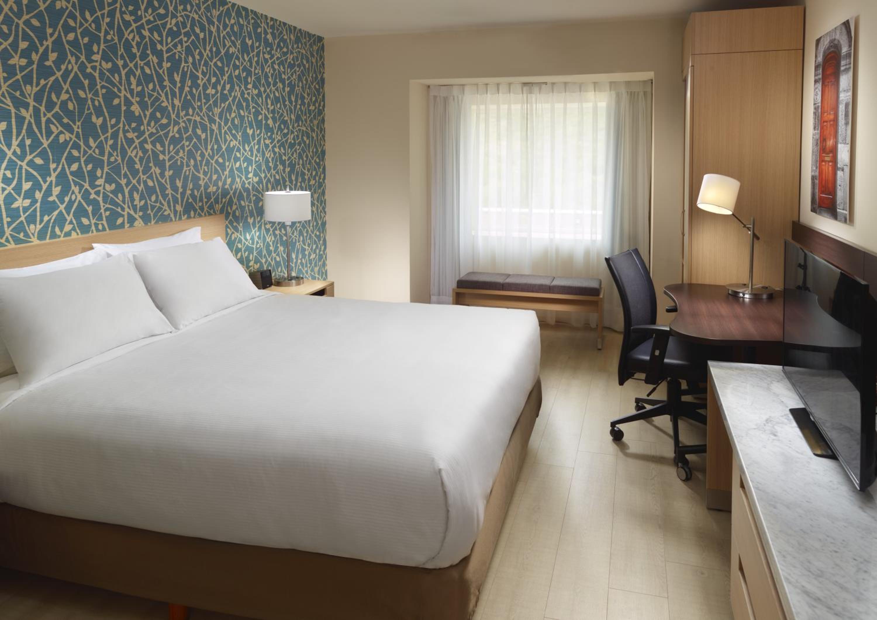 Superior Room 1 King photo 1