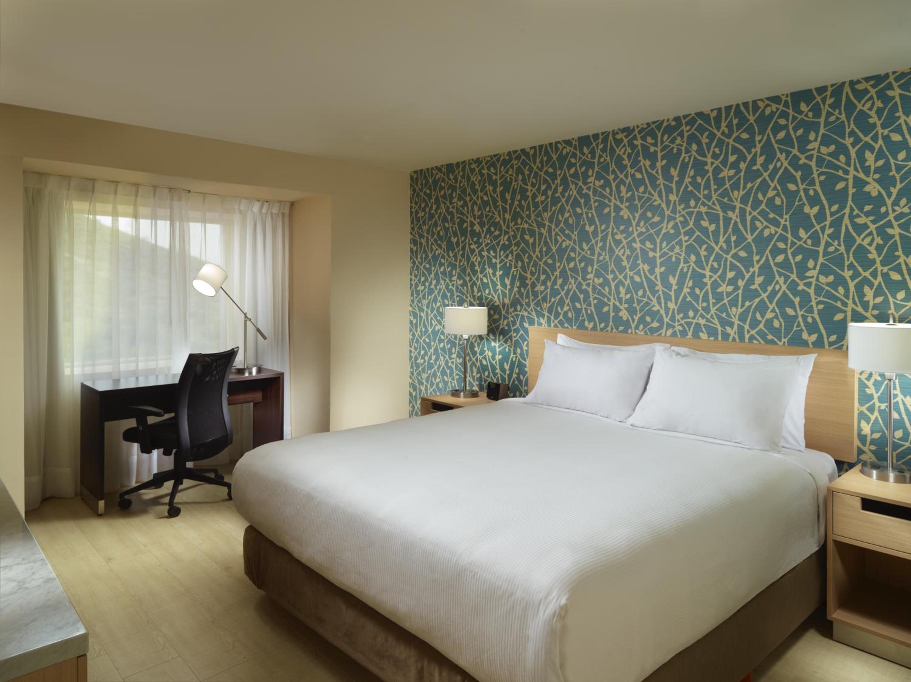 Superior Room 1 Queen photo 1