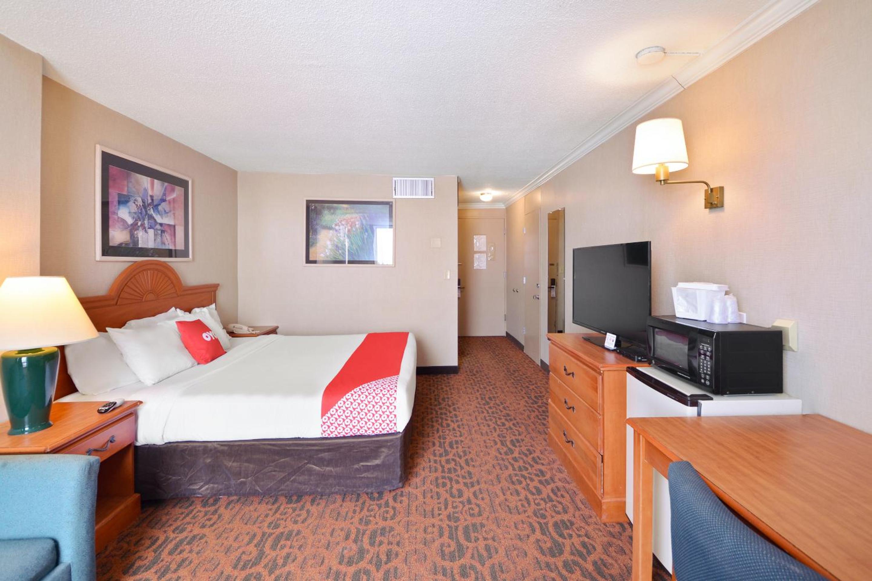 King Room photo 1