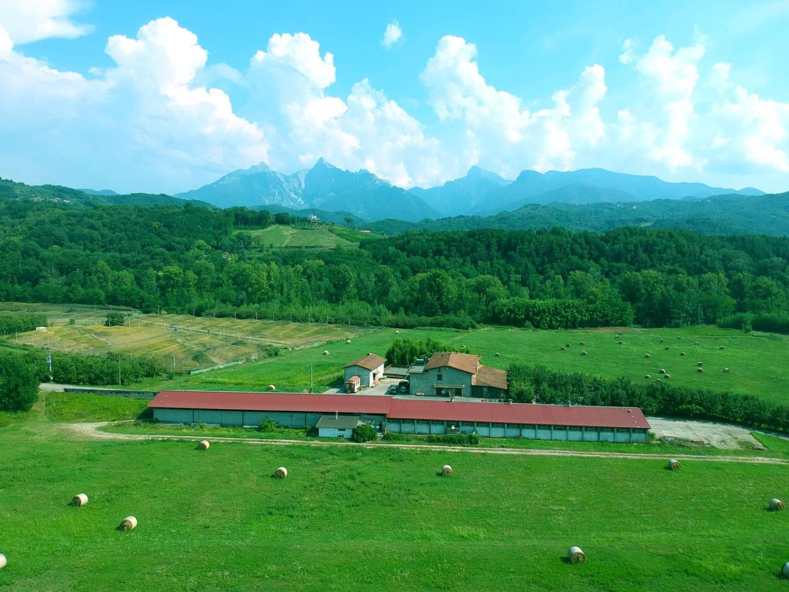 Apartment with Mountain View photo 2