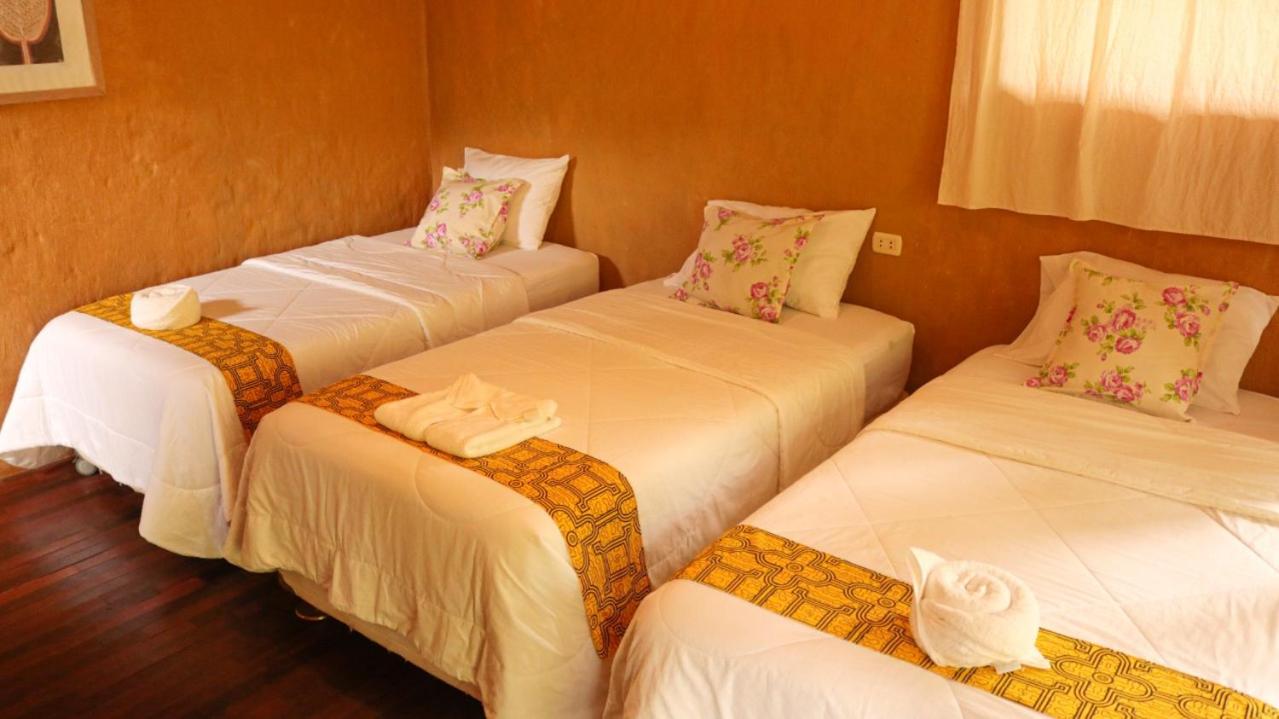 Triple Room photo 1
