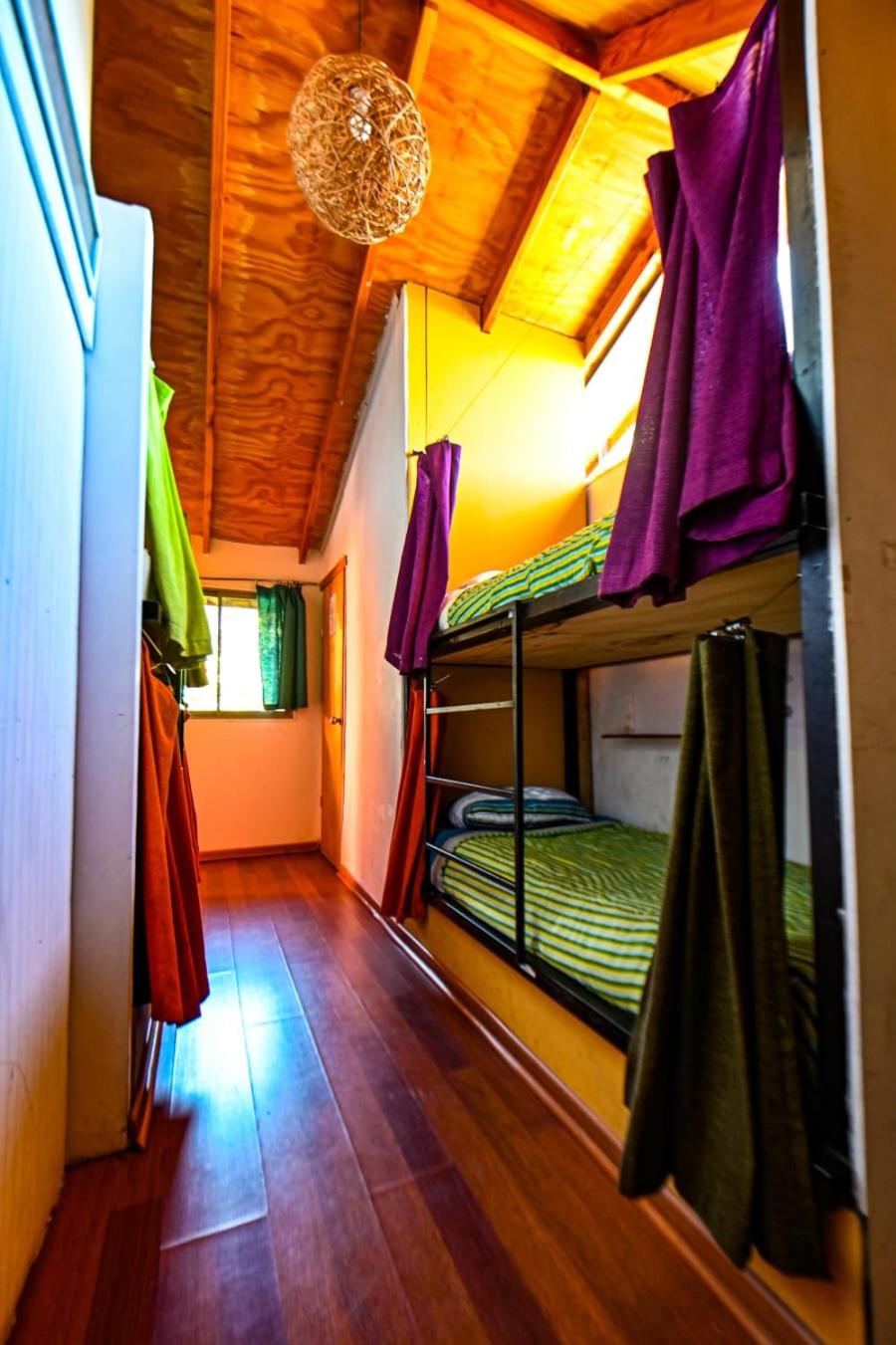 Single Bed in Mixed Dormitory Room photo 3
