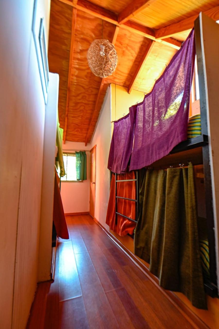 Single Bed in Mixed Dormitory Room photo 2