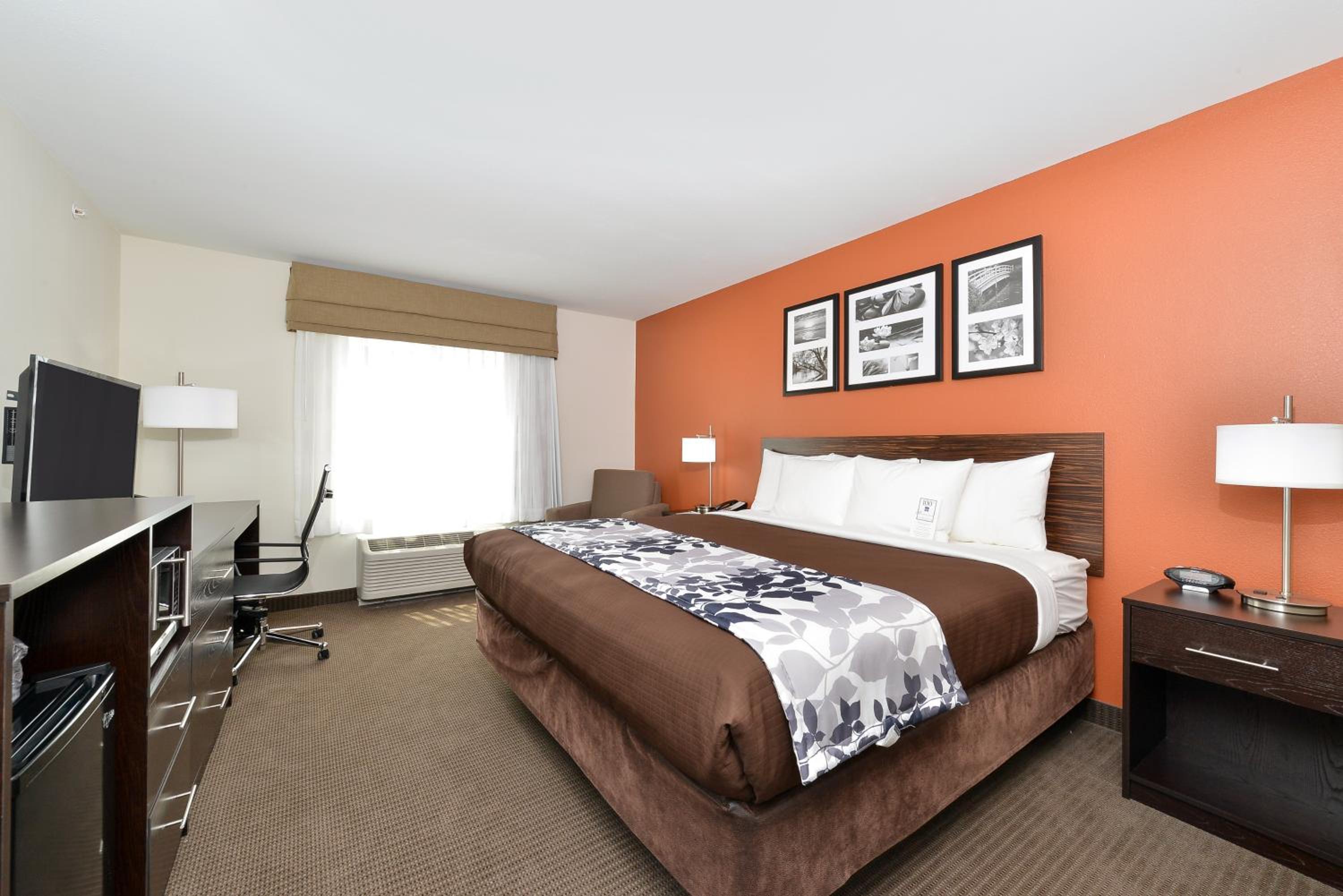 King Room - Non-Smoking photo 3