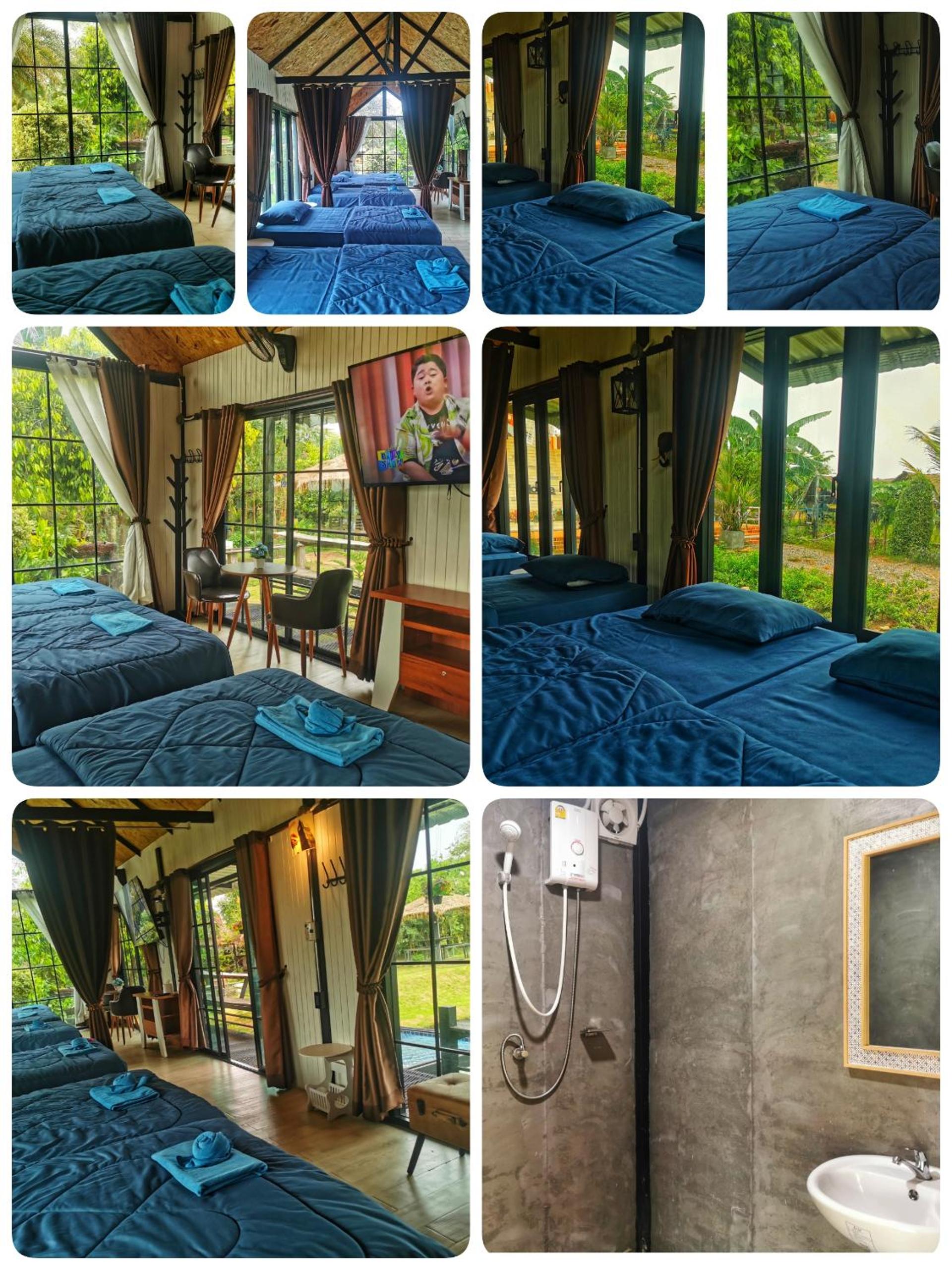 6-Bed Mixed Dormitory Room photo 1