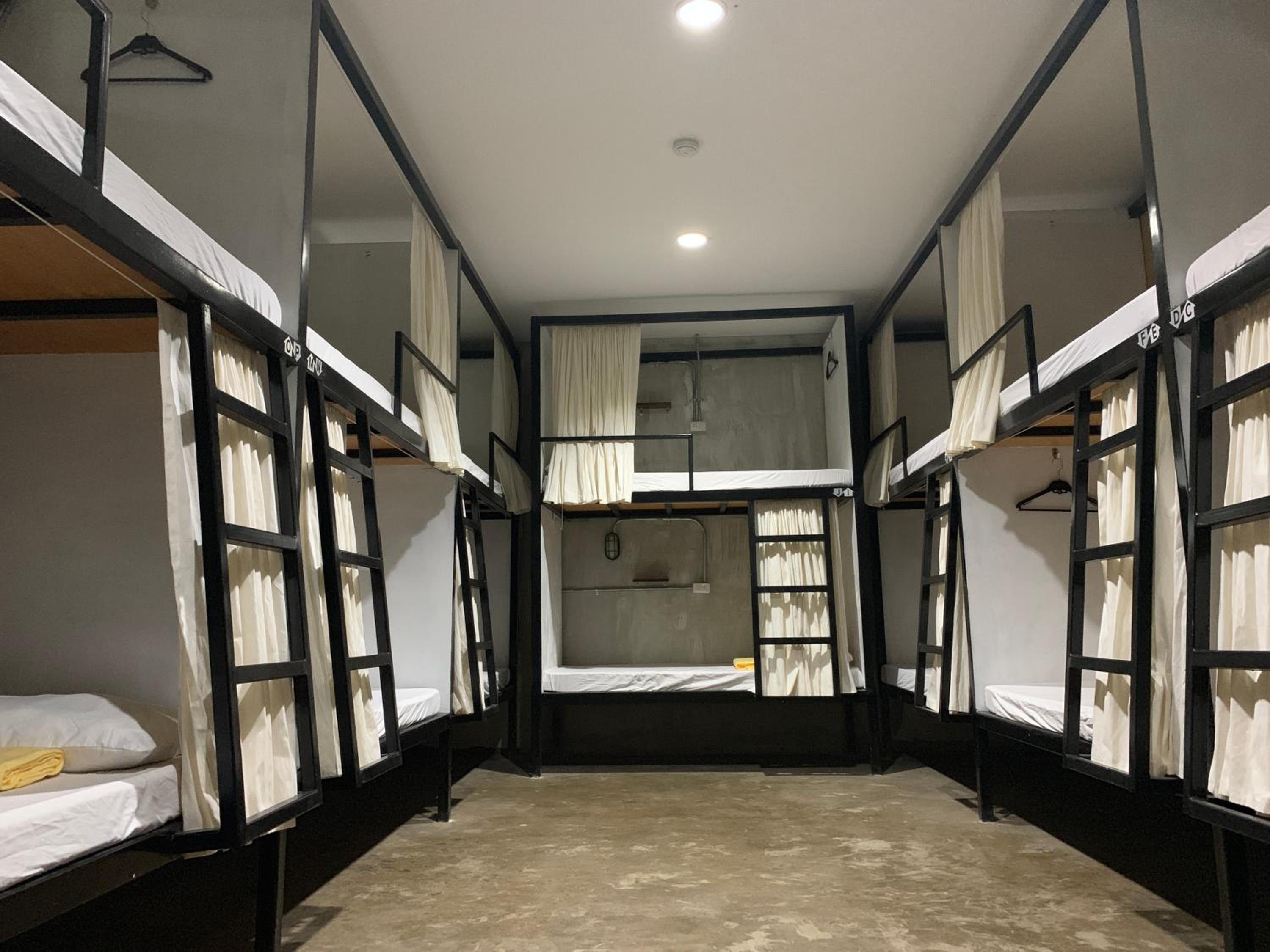 Bunk Bed in Mixed Dormitory Room photo 1