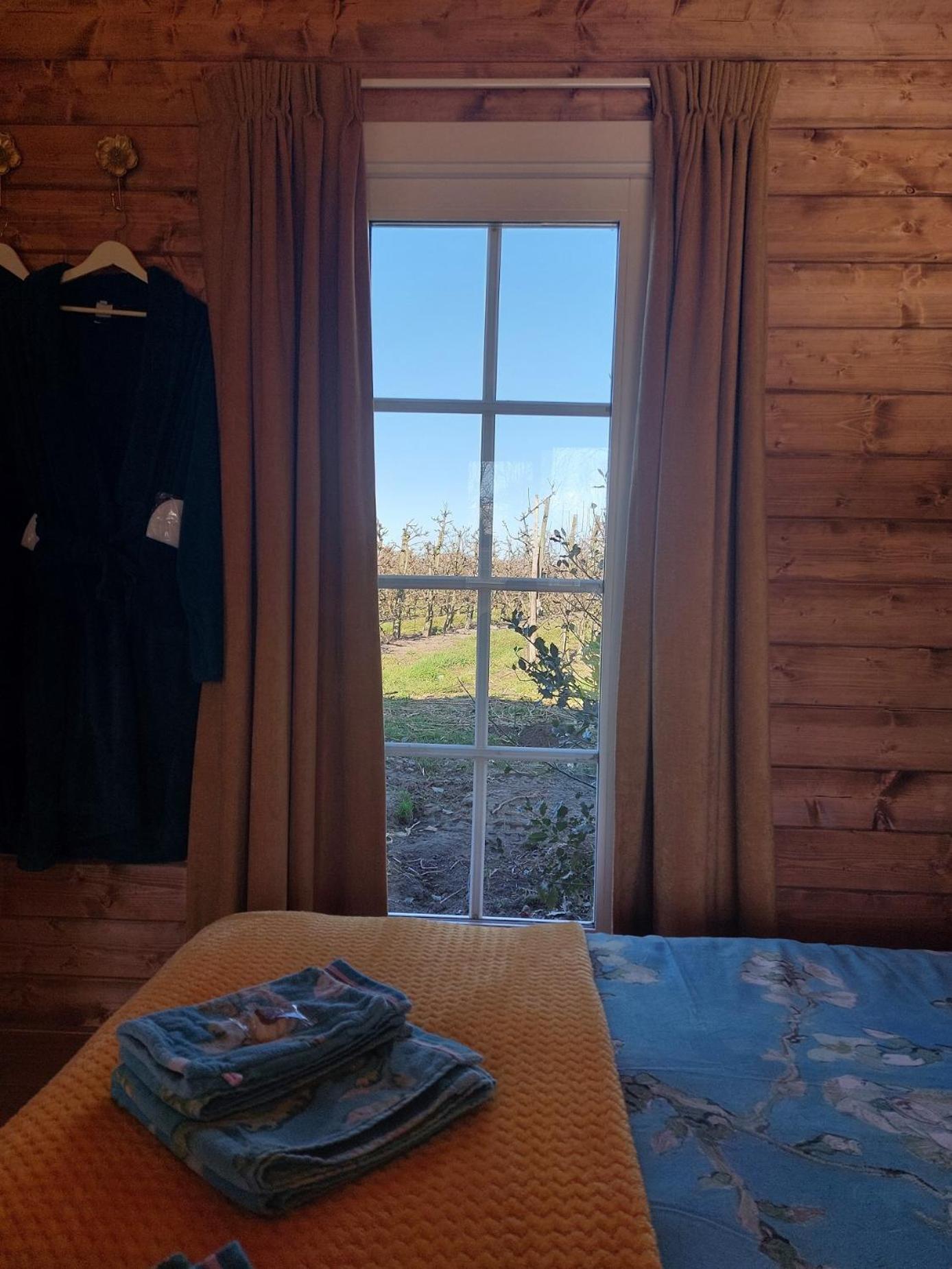Deluxe Room - Photo 19