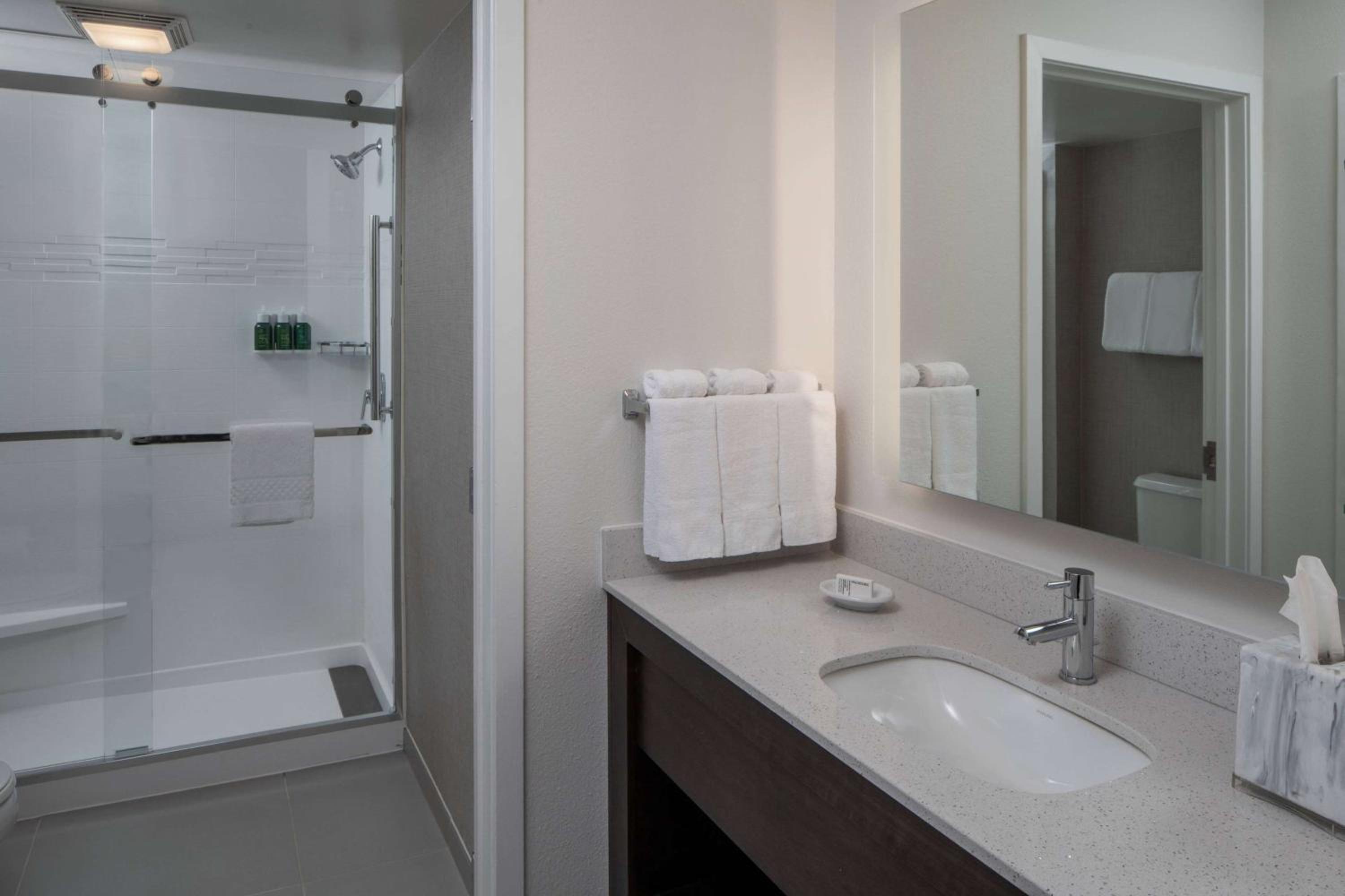 Deluxe Studio Suite King - Hearing Accessible - Photo 5