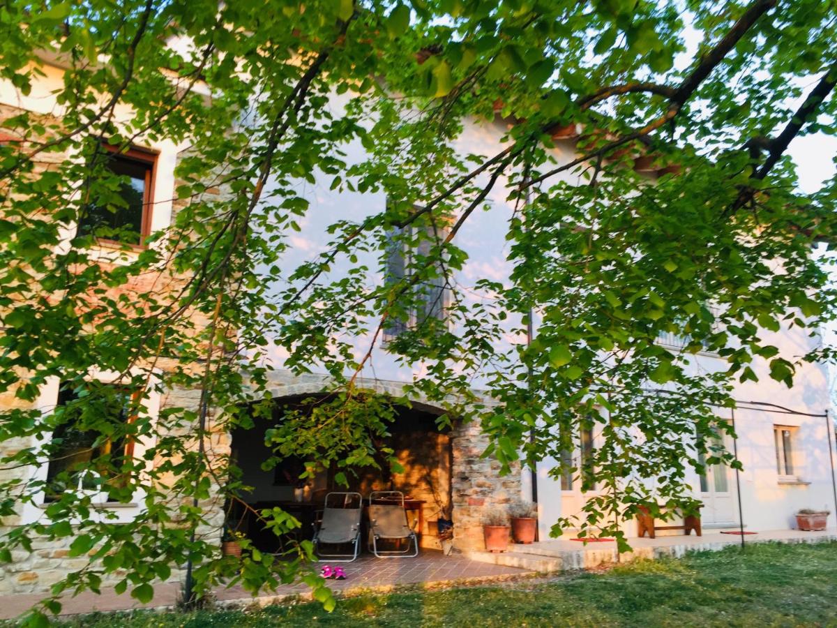 Standard Double or Twin Room with Garden View photo 2