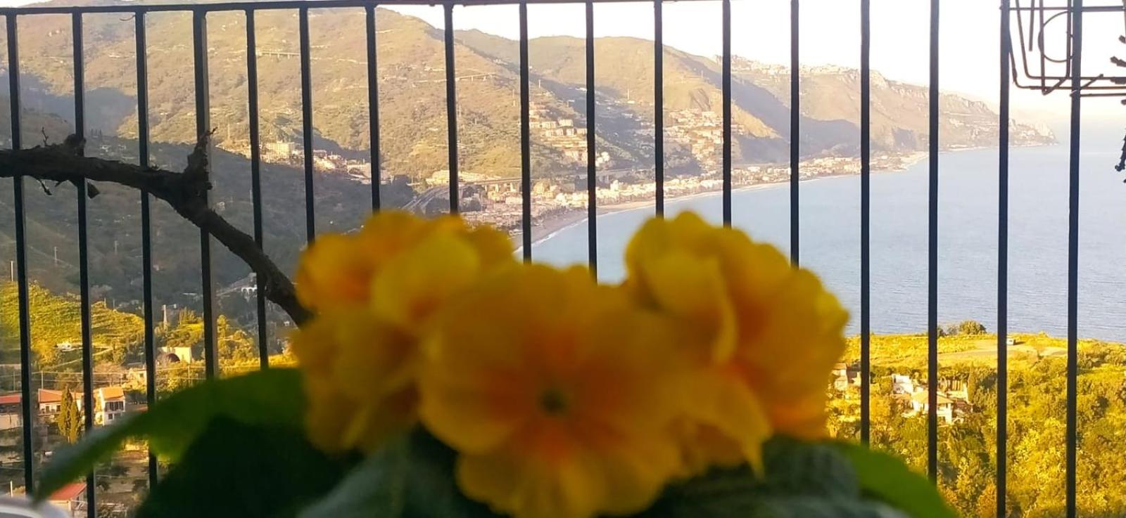 Studio with Sea View photo 3