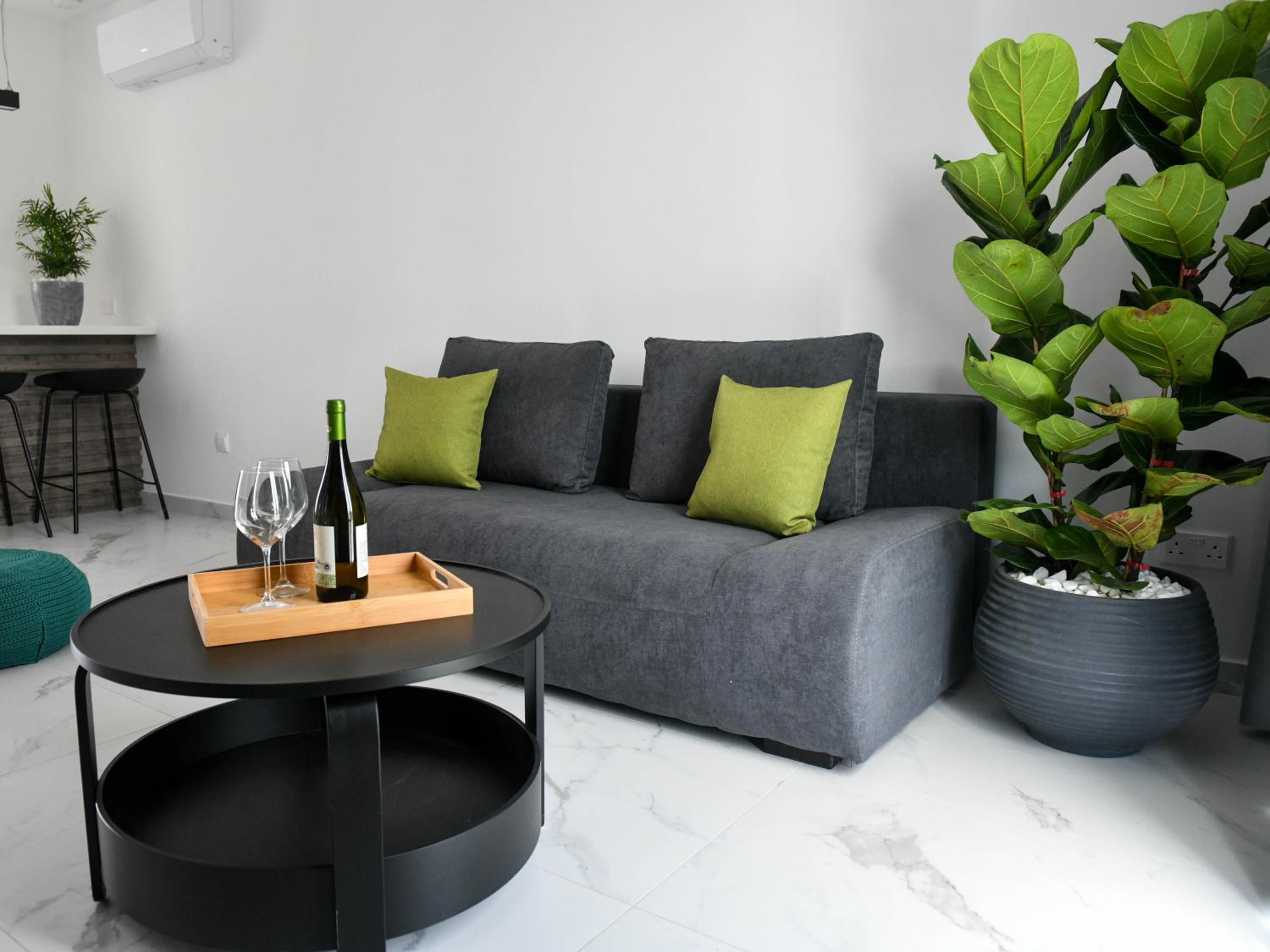 Deluxe Apartment