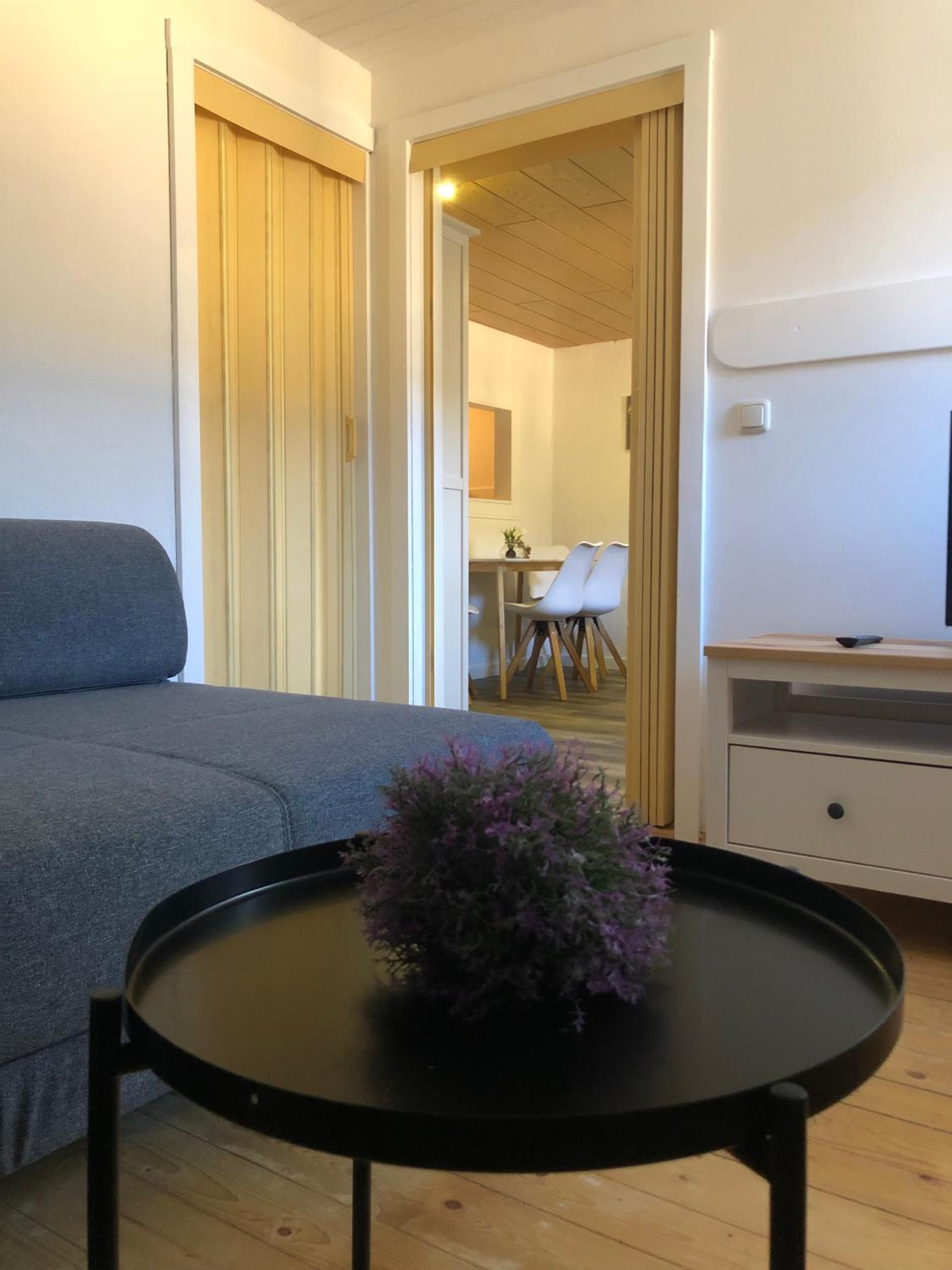 1.5 Rooms Apartment - Connecting Rooms - Photo 5