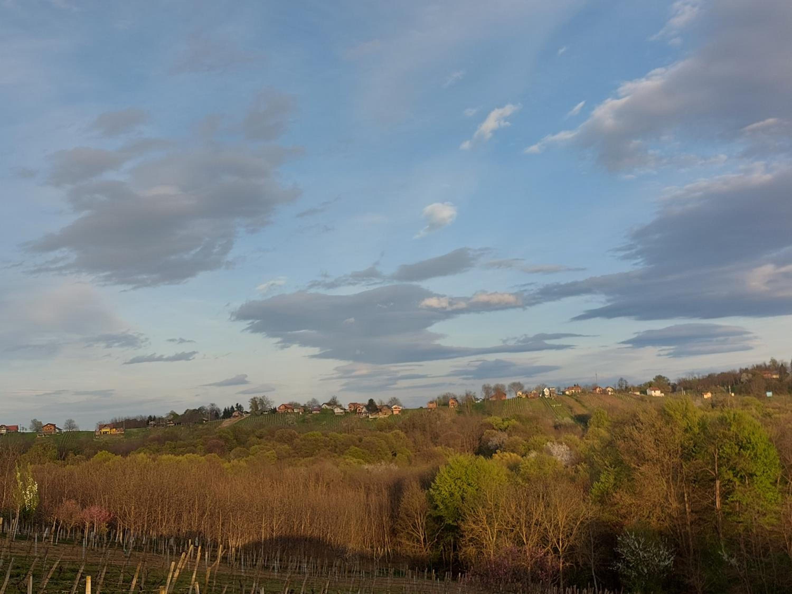 One-Bedroom House - Photo 6