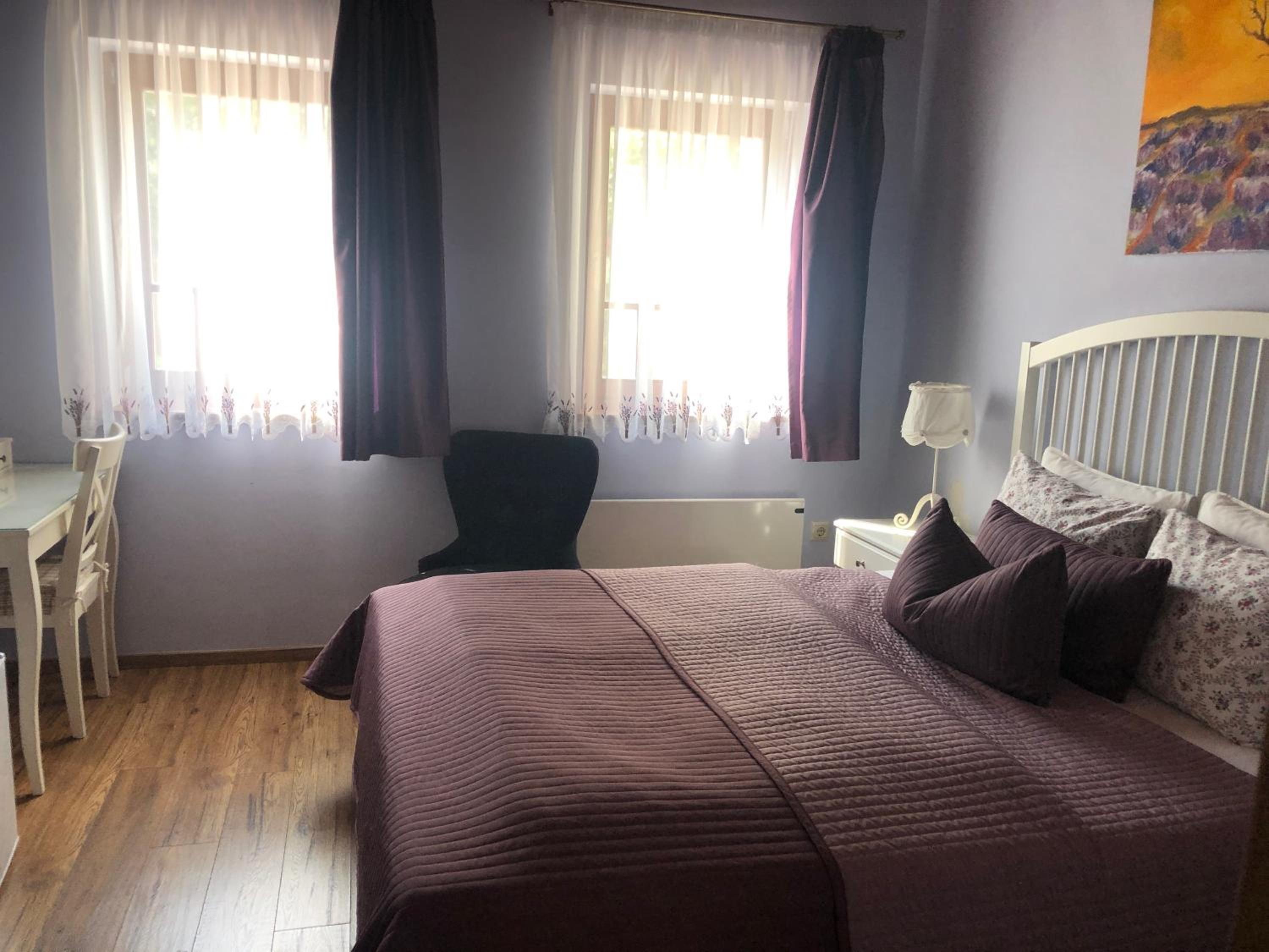 Deluxe Double or Twin Room with Garden View photo 3