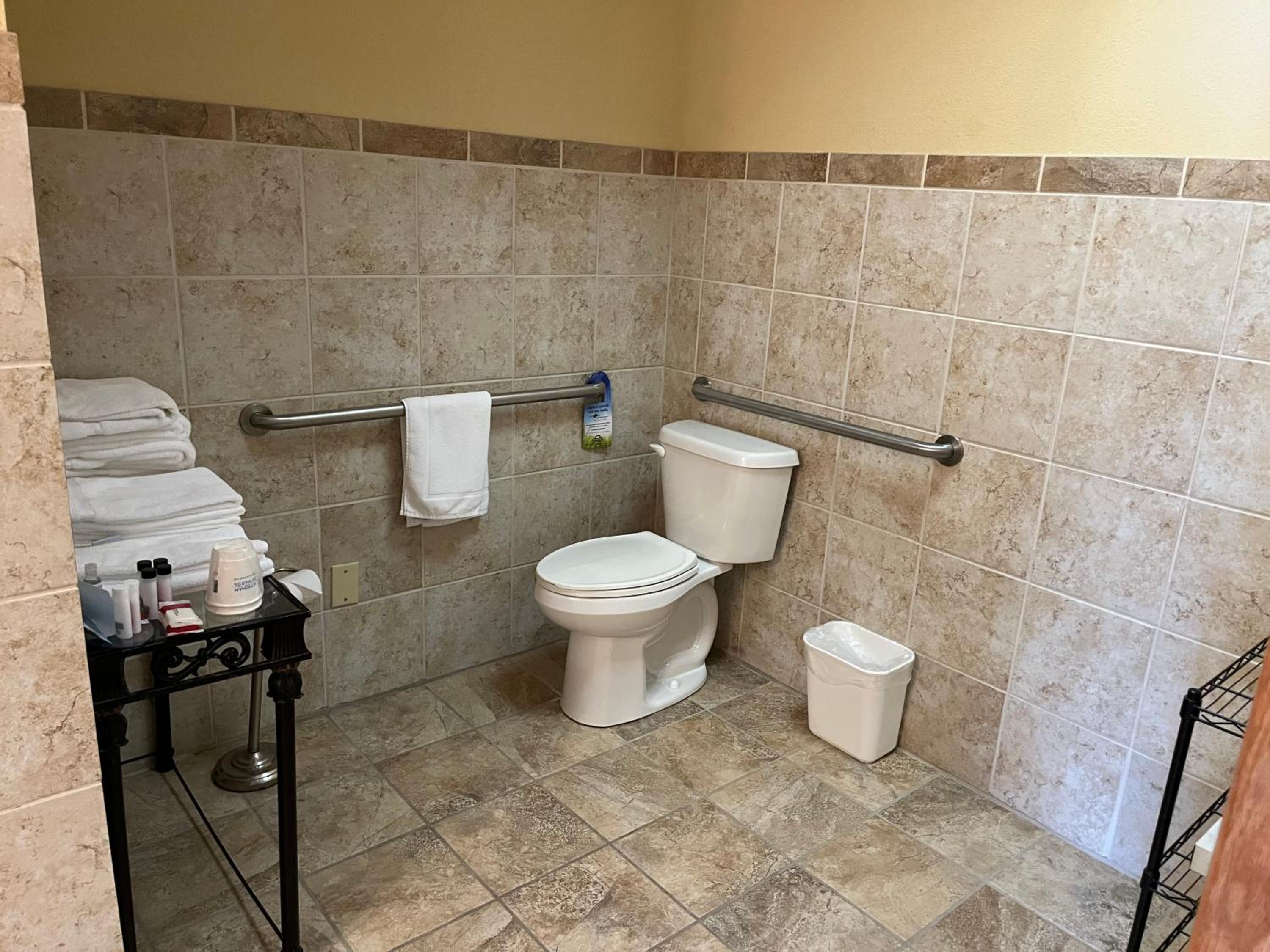 1 Queen Bed, Mobility Accessible Room, North Tower, Non-Smoking - Photo 5