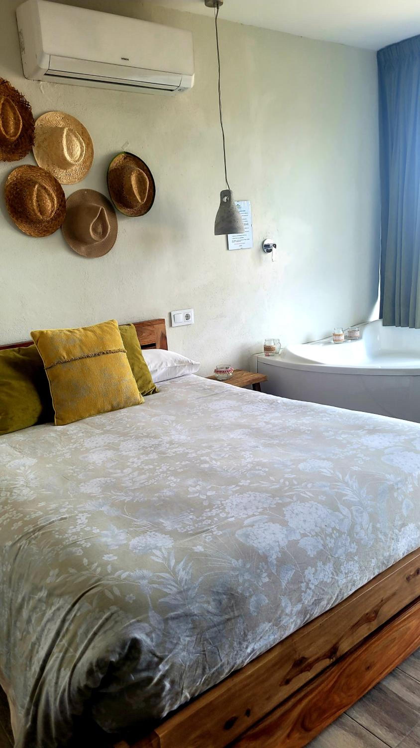 Deluxe Double or Twin Room with Mountain View photo 2