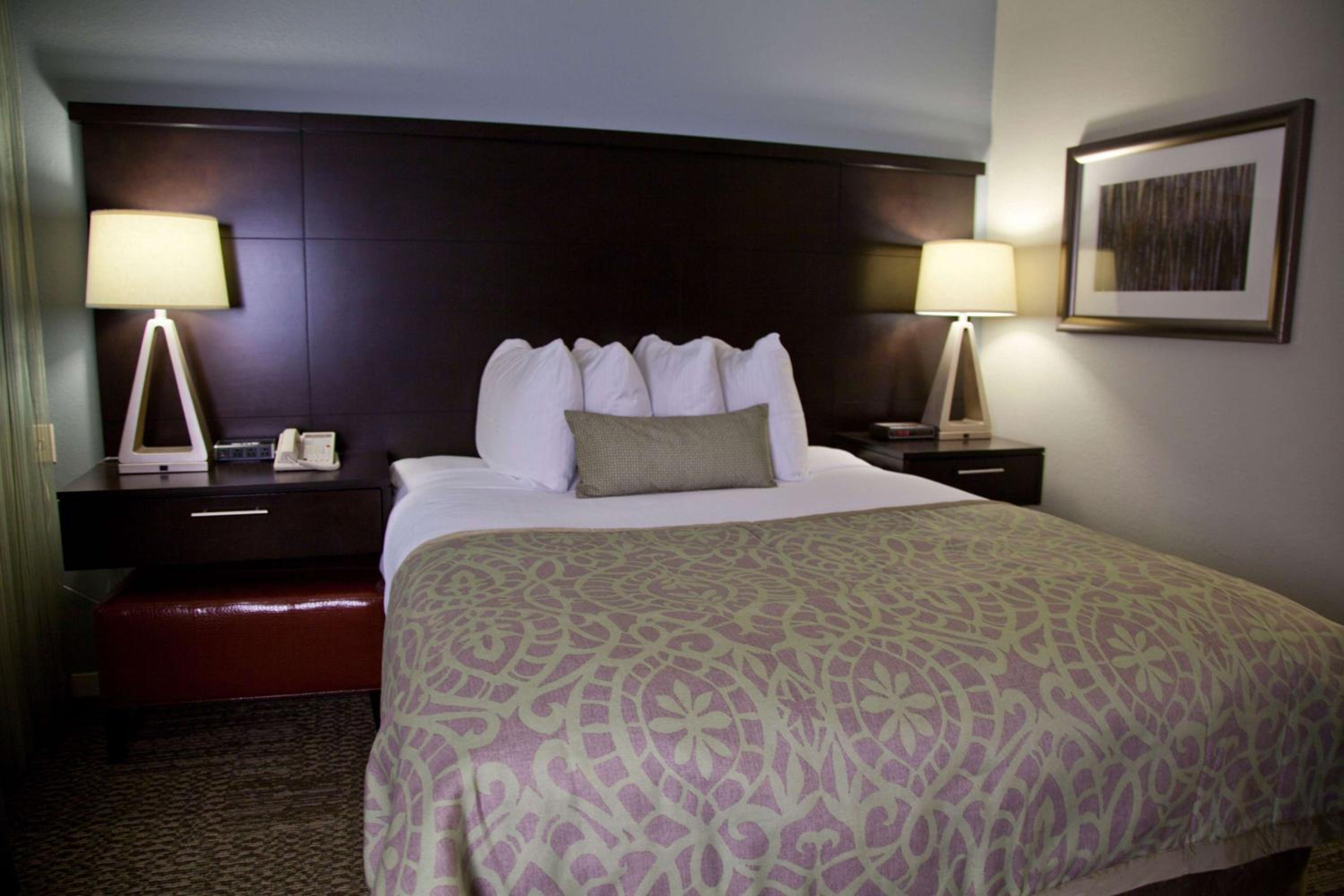 One-Bedroom Queen Suite - Photo 1