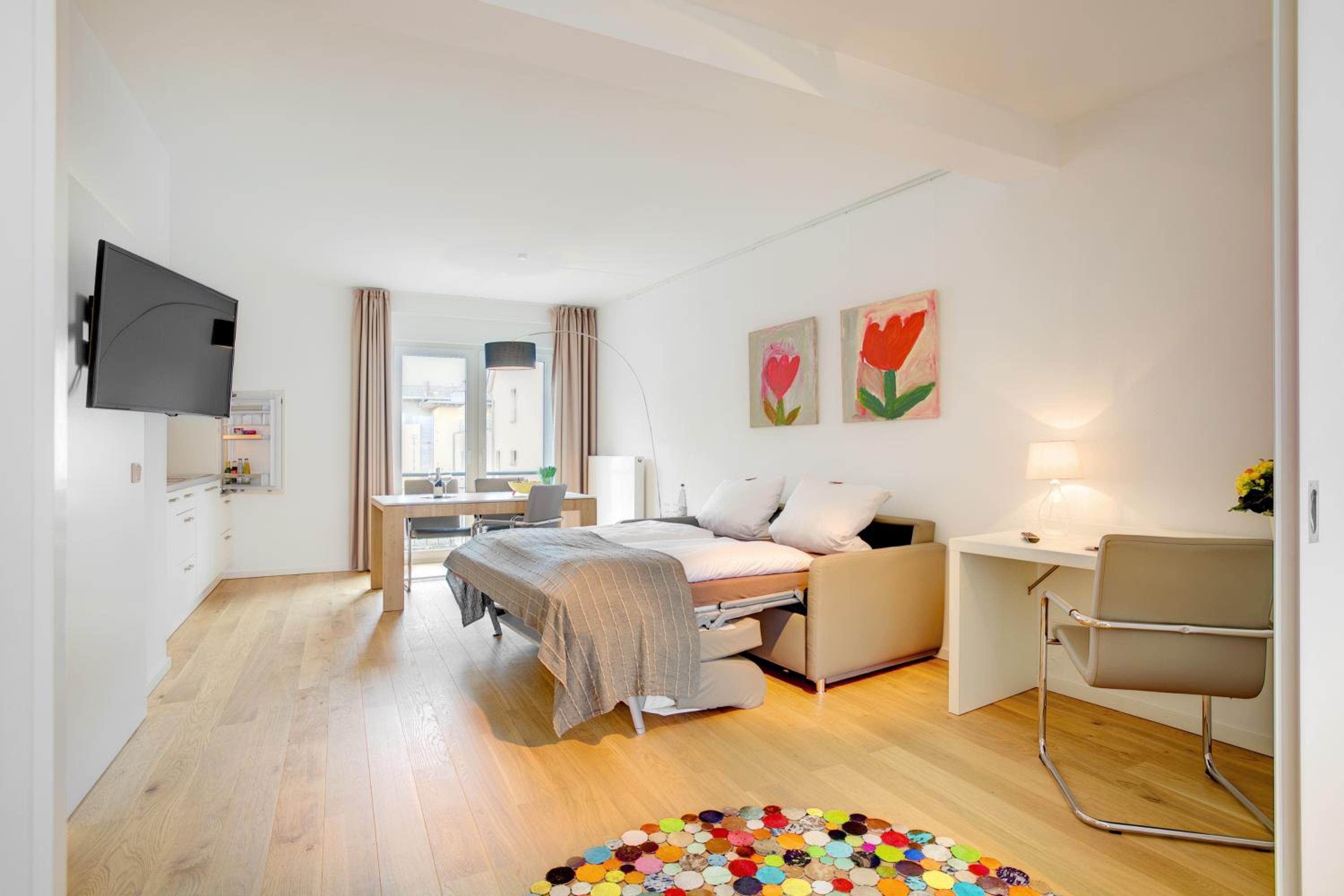 Large One-Bedroom Apartment photo 3