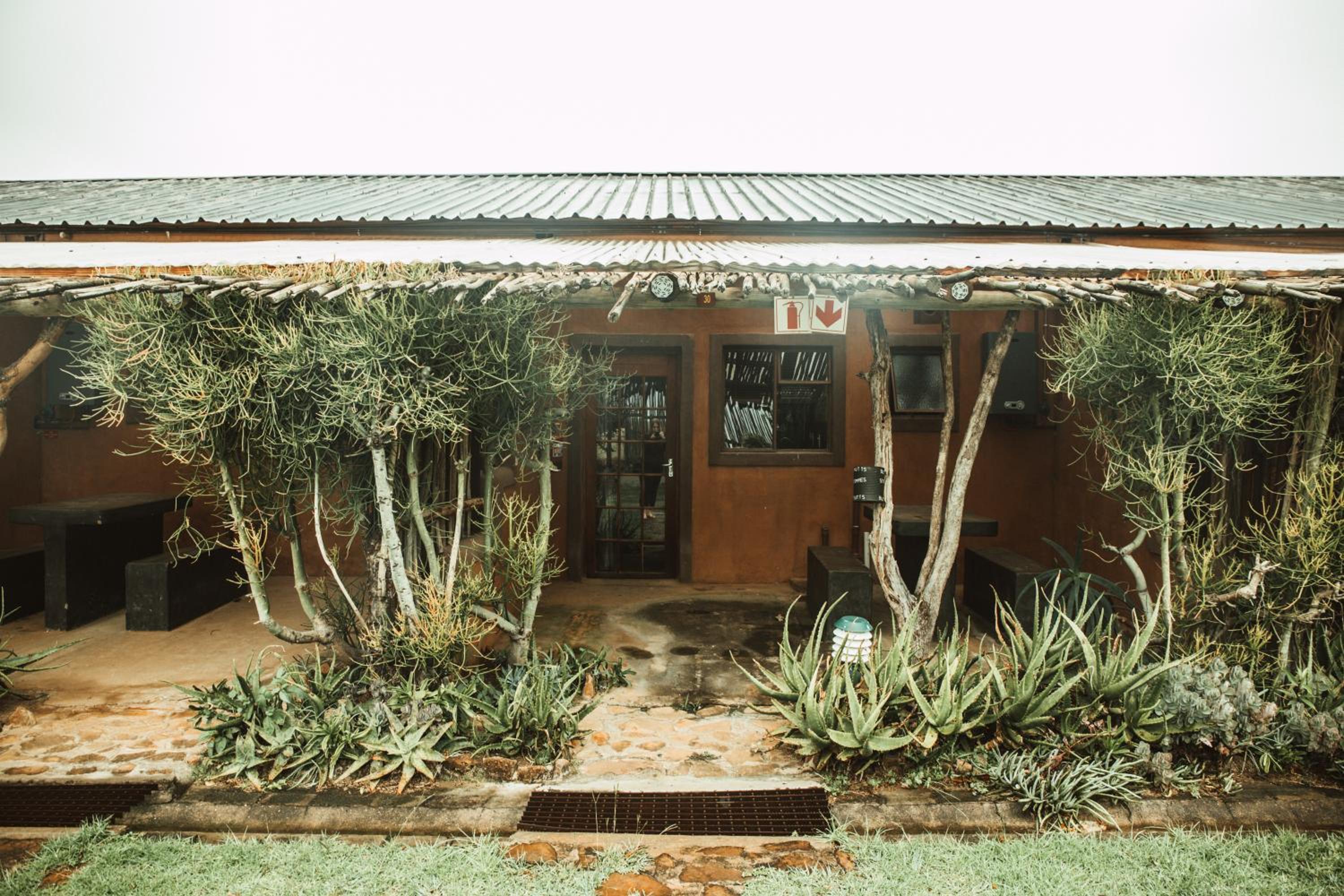 Quadruple Room - Photo 5