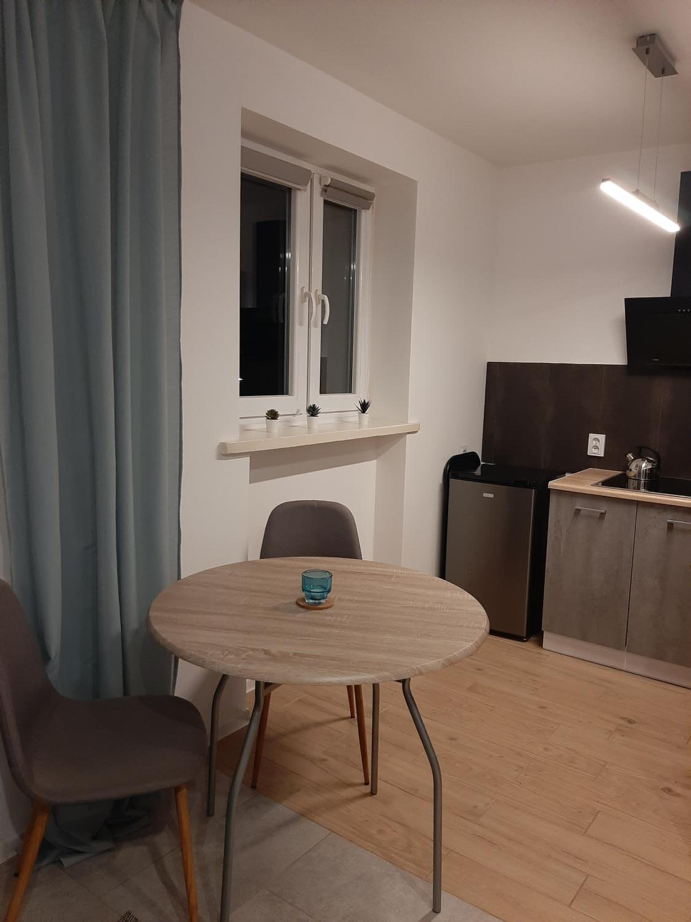 One-Bedroom Apartment - Photo 3