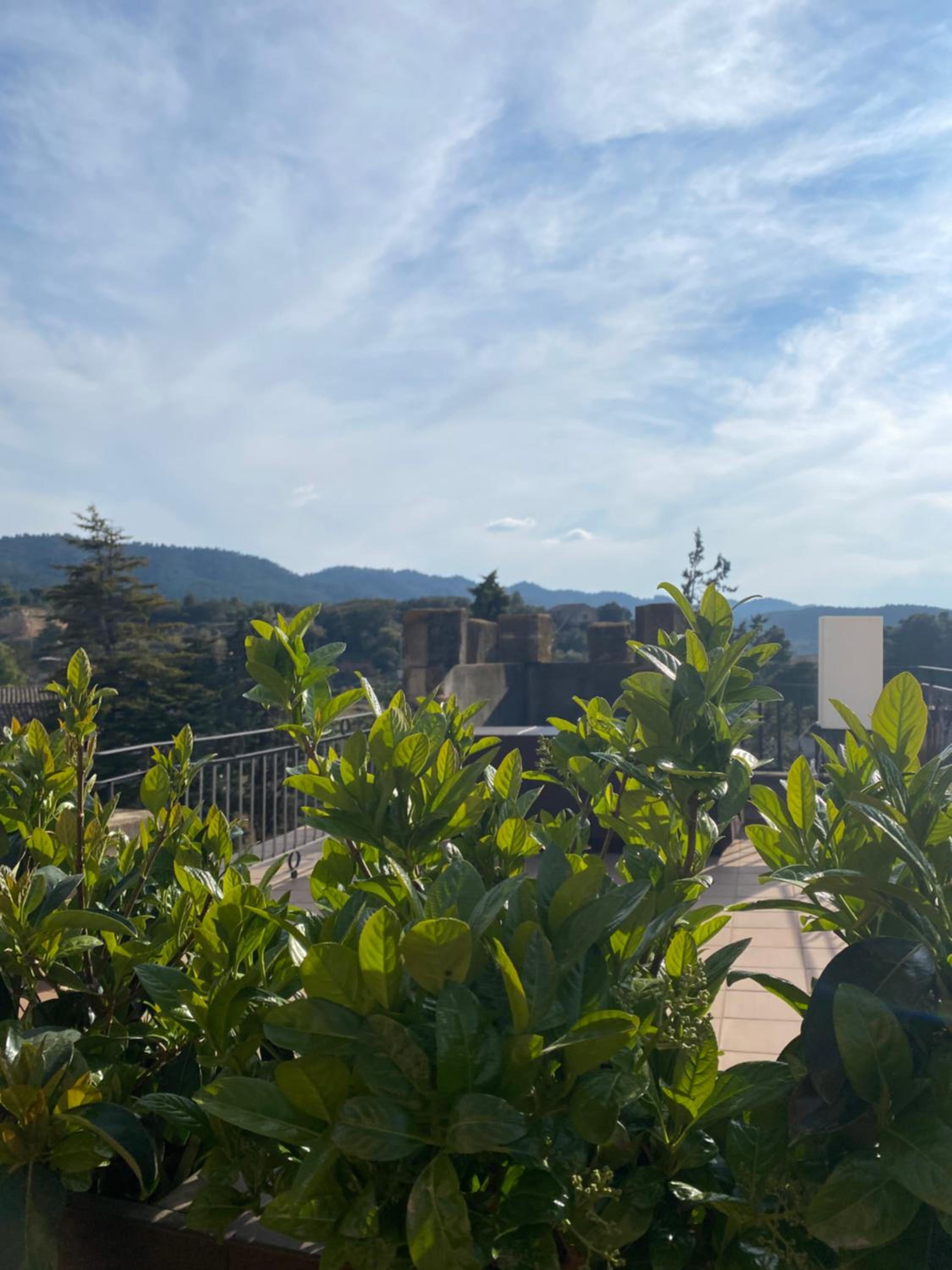 Suite with Terrace - Photo 9