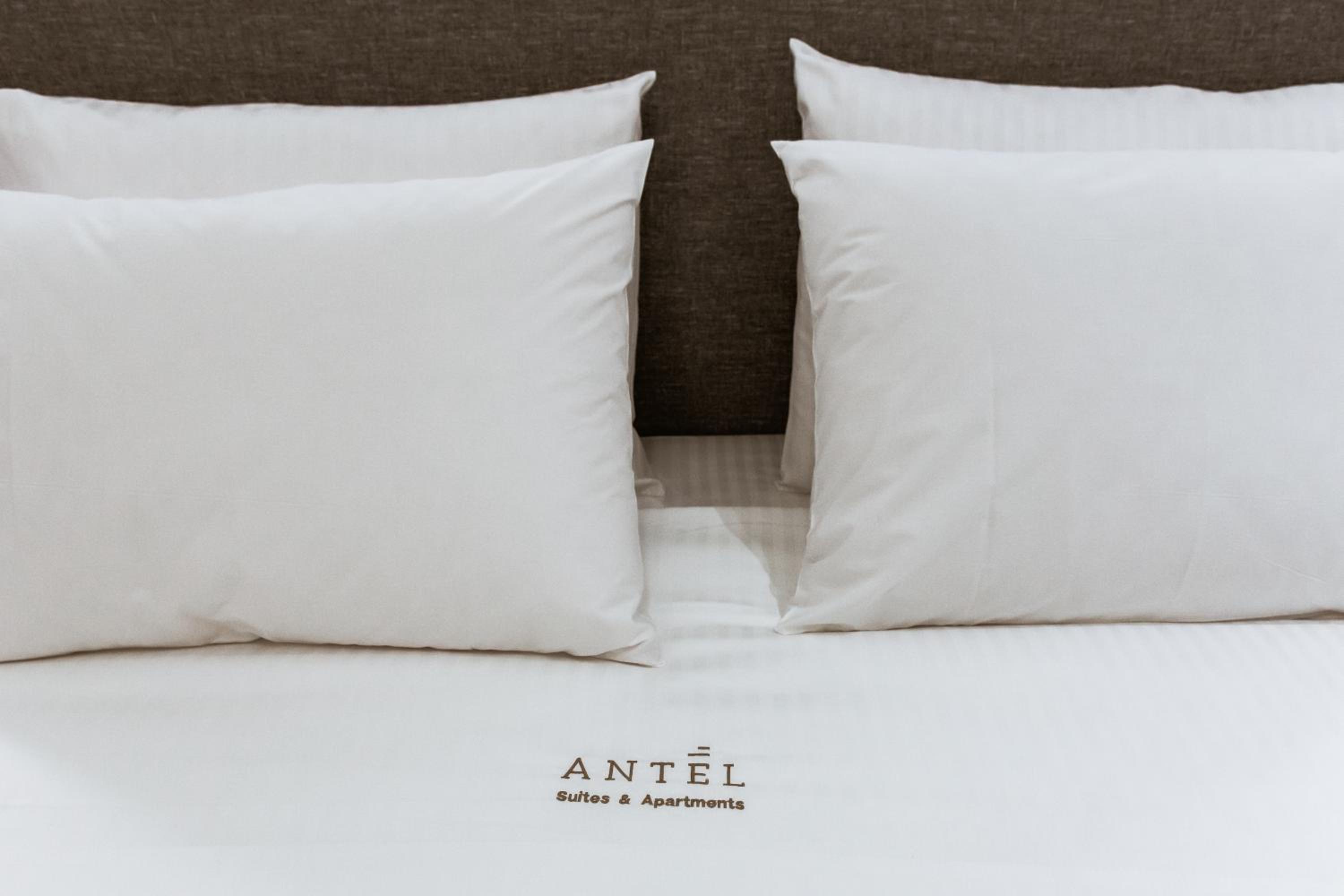 Premium Suite 4 Beds