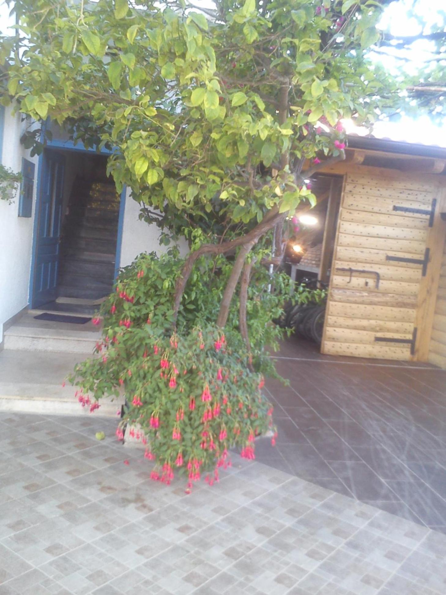 Studio with Balcony - Photo 16