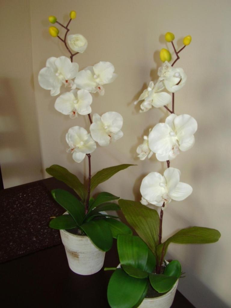 Apartment - Photo 23