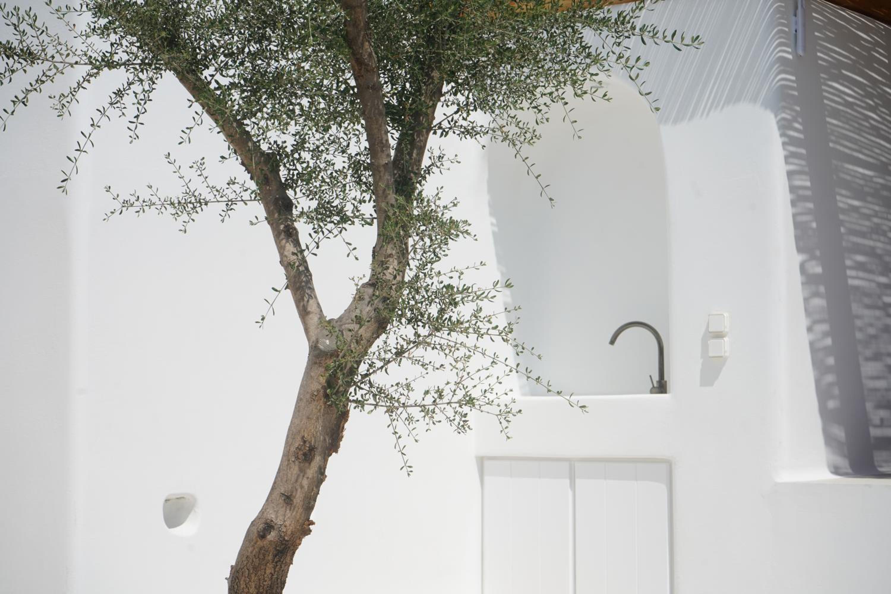 Suite with Private Pool - Photo 7