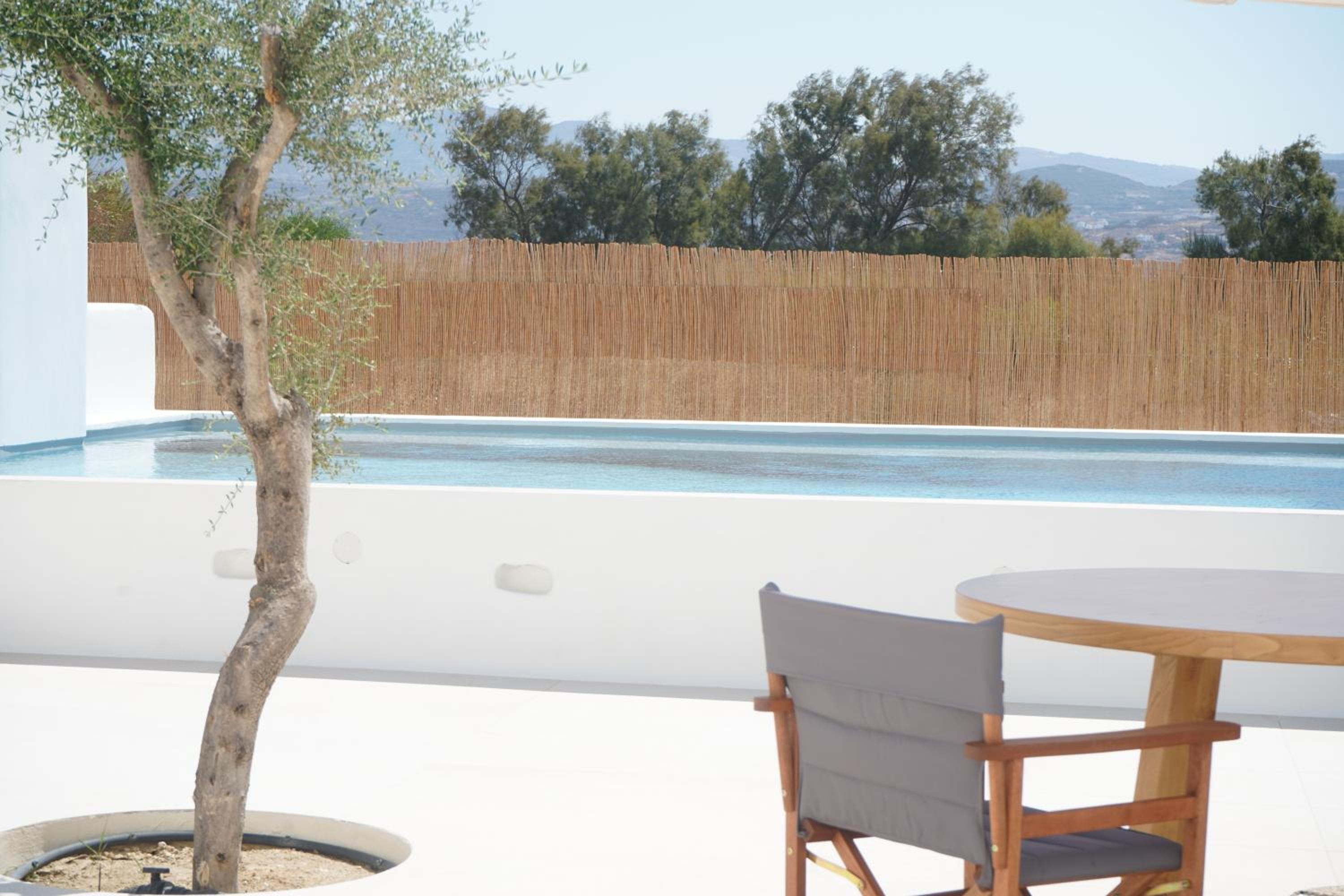 Suite with Private Pool - Photo 11
